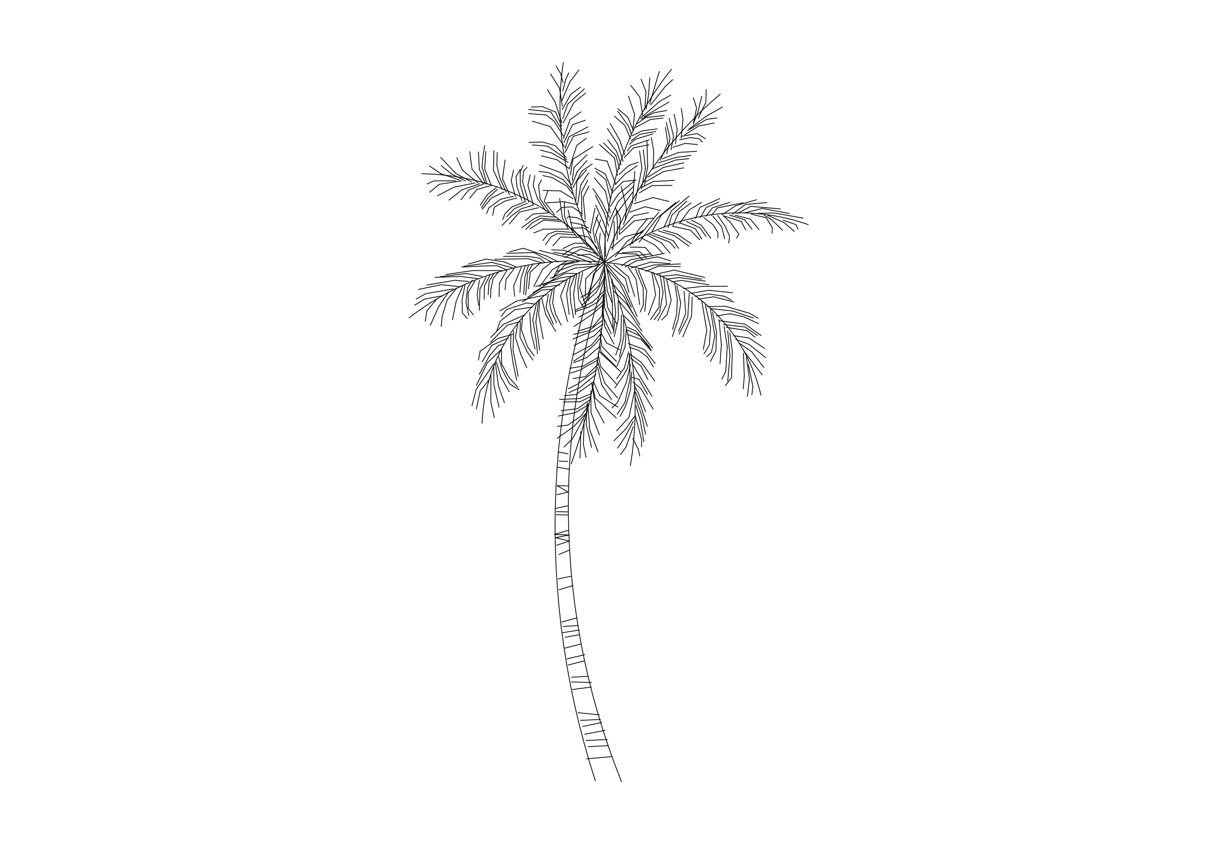 Free Palm Tree Elevation CAD Block – DWG, DXF, PDF Format