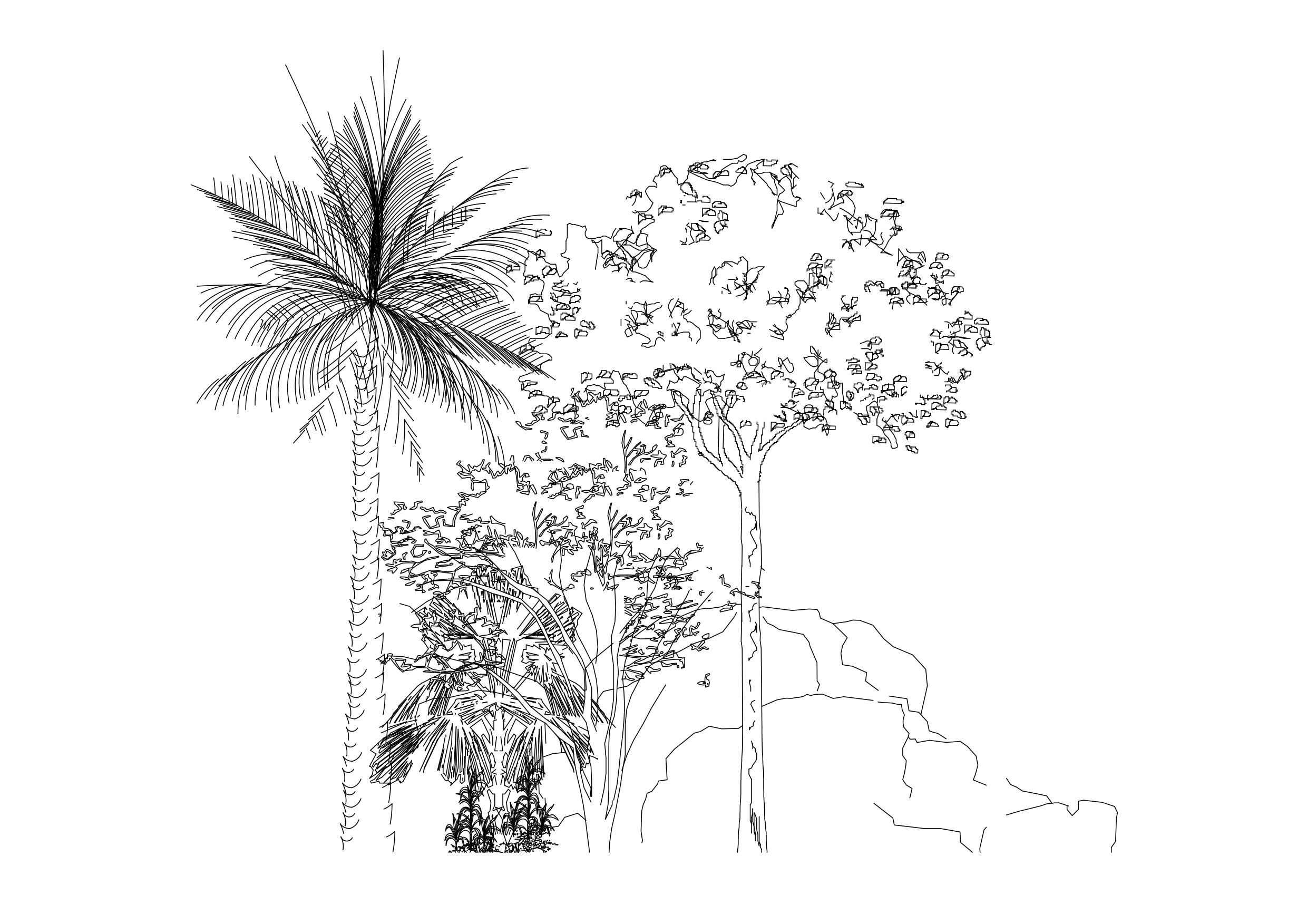 Free Multiple Trees Elevation CAD Block – DWG, DXF, PDF Format