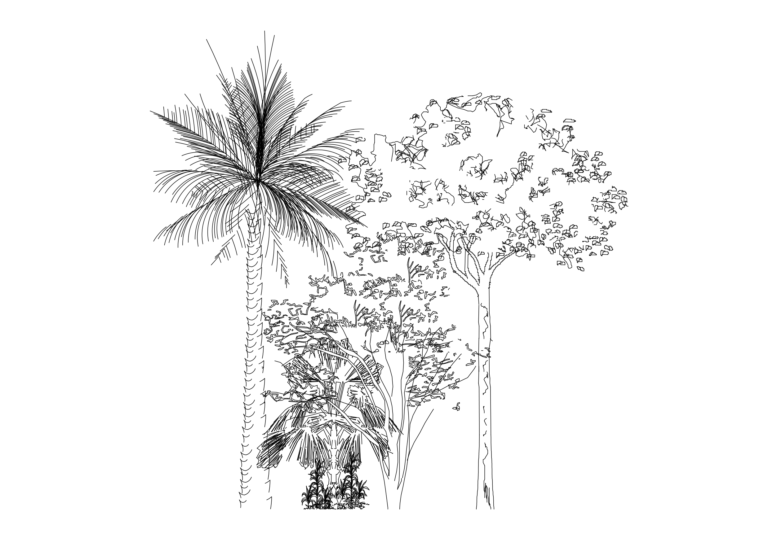 Free Multiple Trees Elevation CAD Block – DWG, DXF, PDF Format