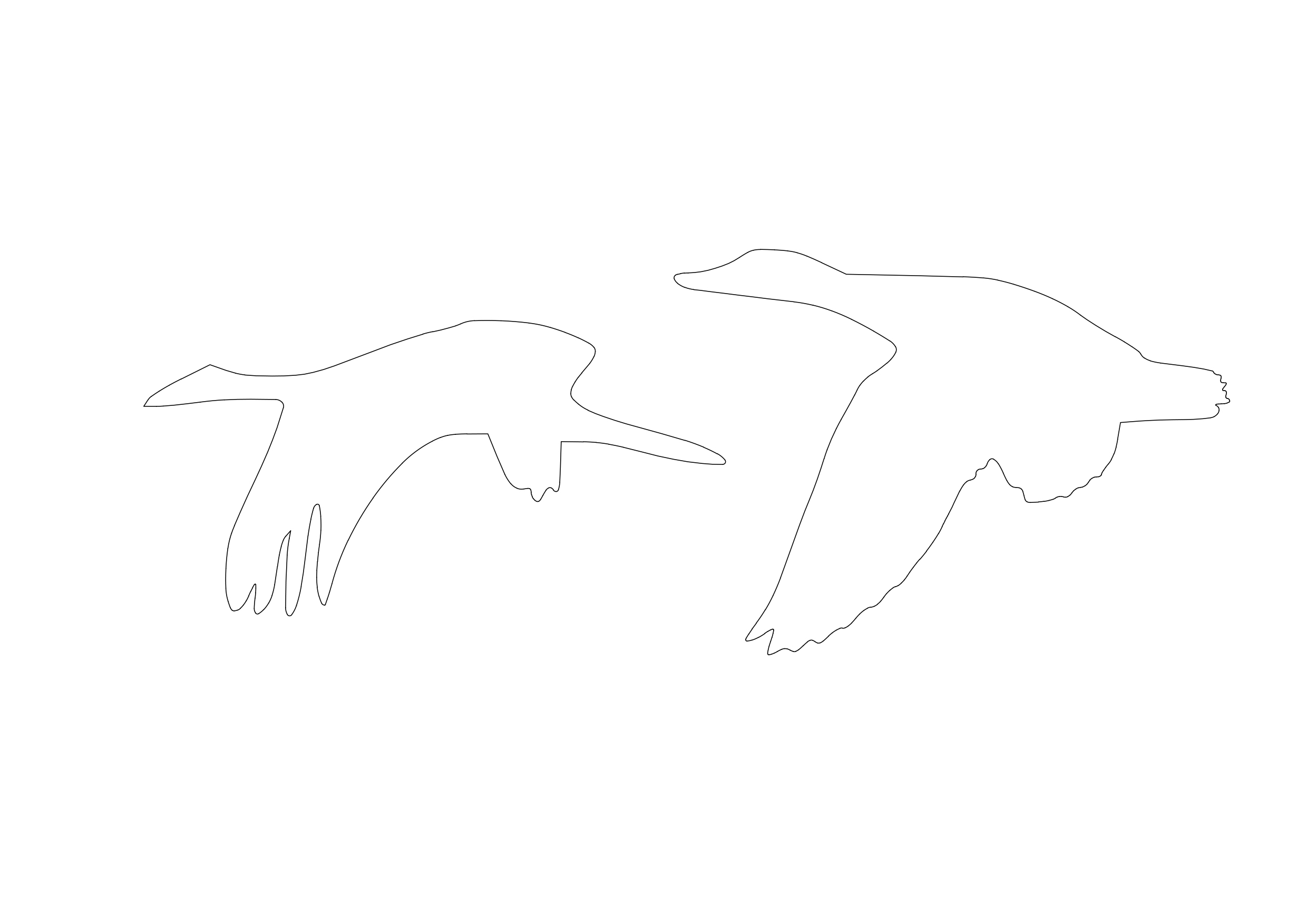 Free Ducks CAD Block – DWG, DXF, PDF Format