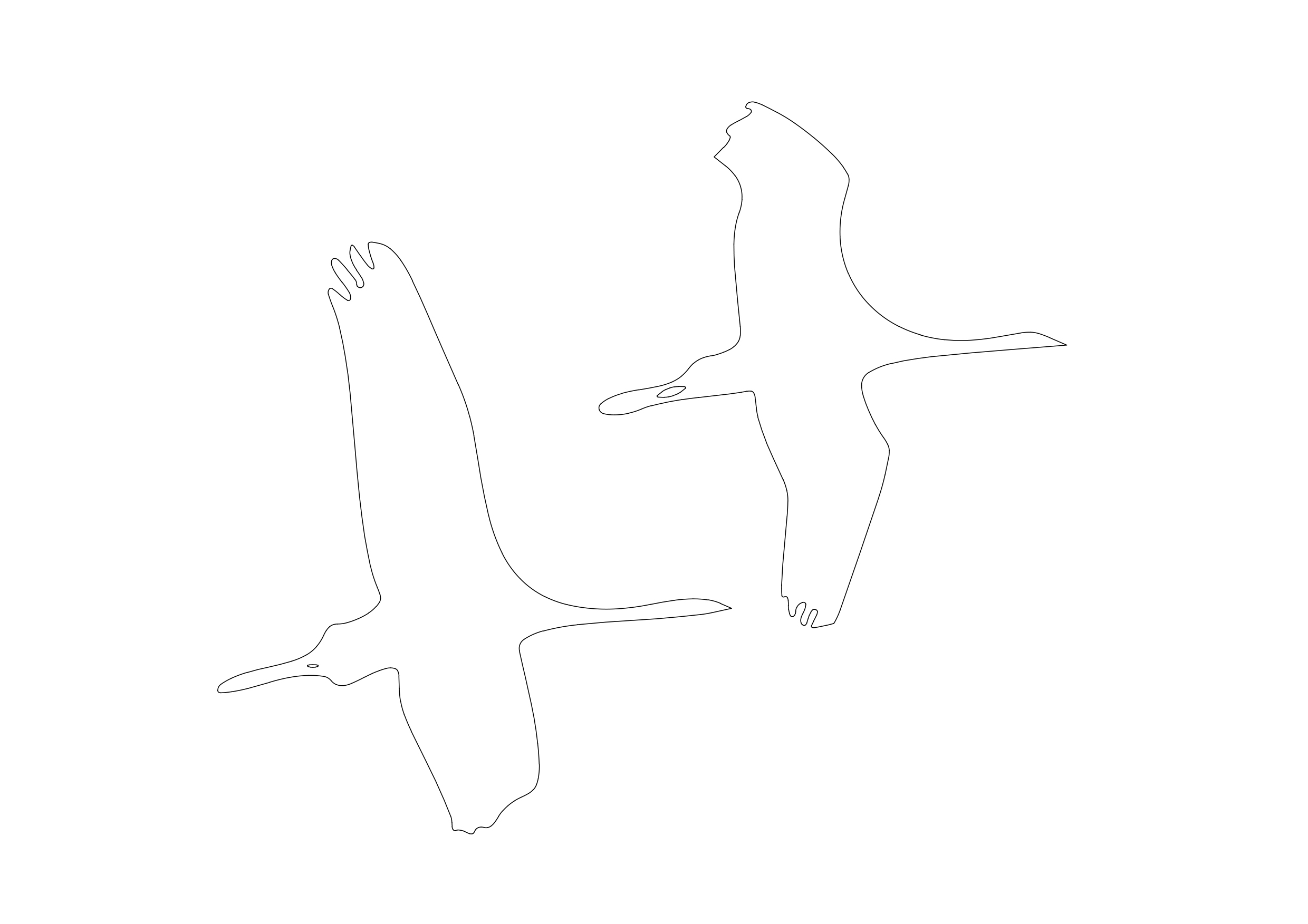 Free Ducks CAD Block – DWG, DXF, PDF Format