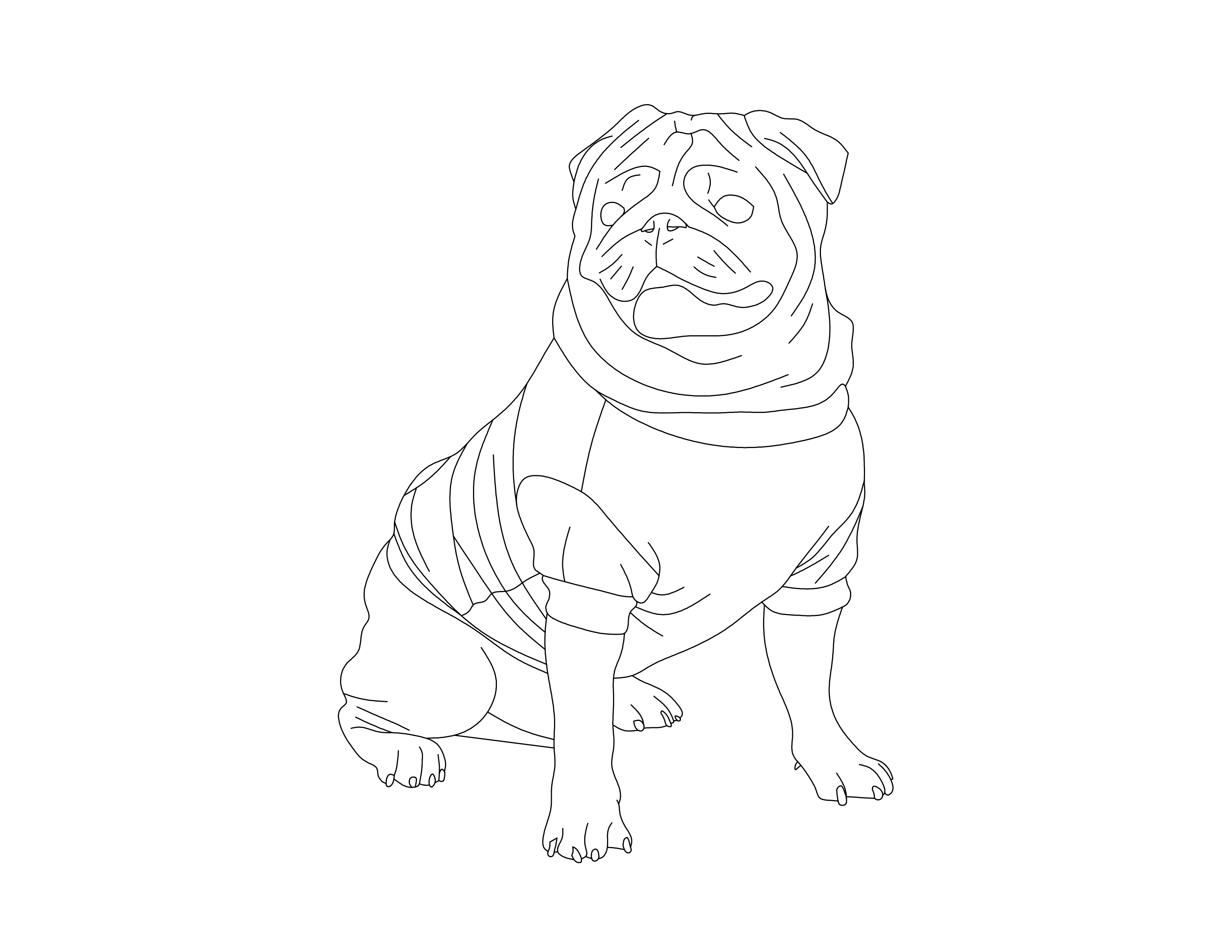 Download a Free Pug CAD Block in DWG, DXF, PDF Format