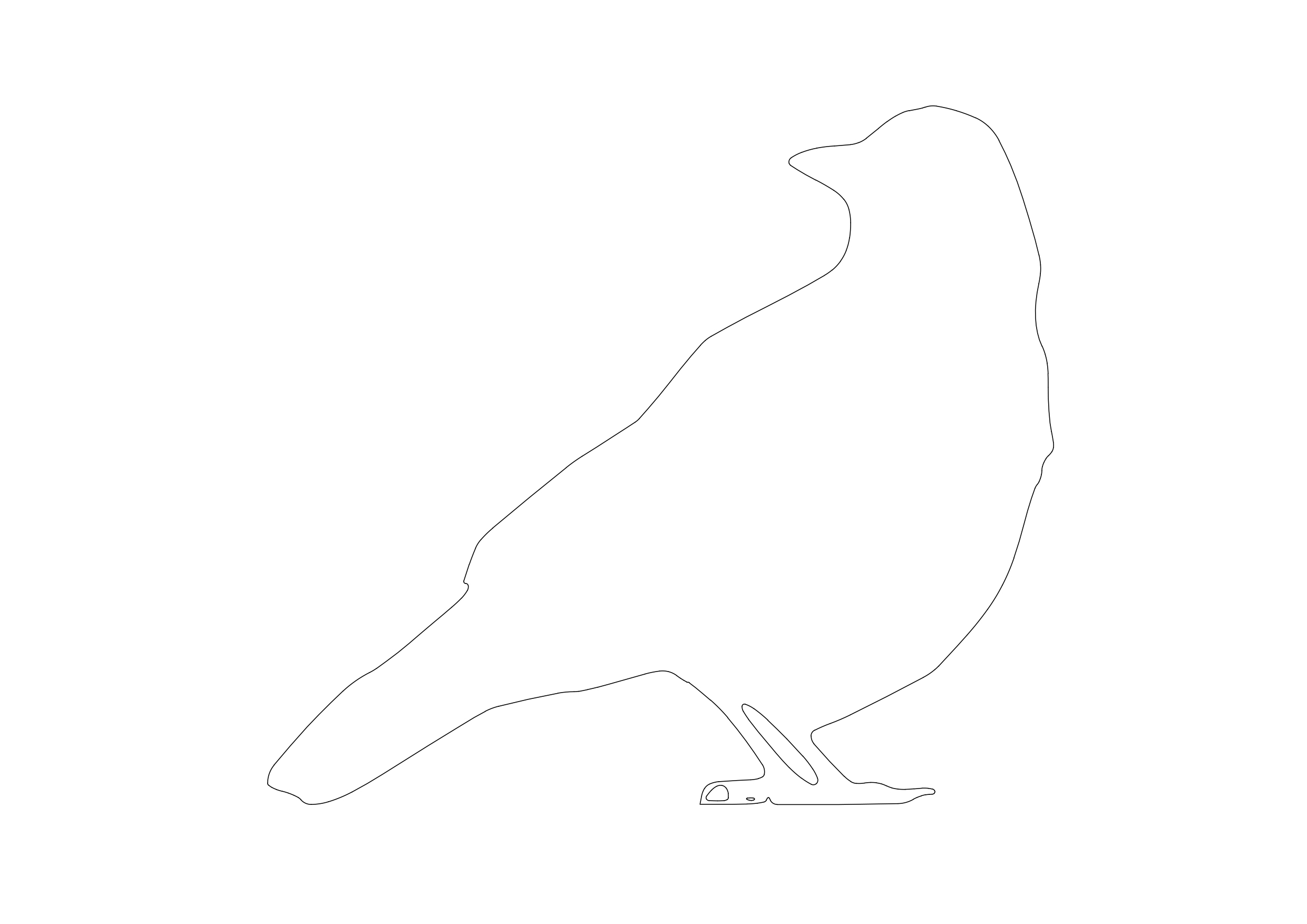 Free Pigeon CAD Block – DWG, DXF, PDF Format