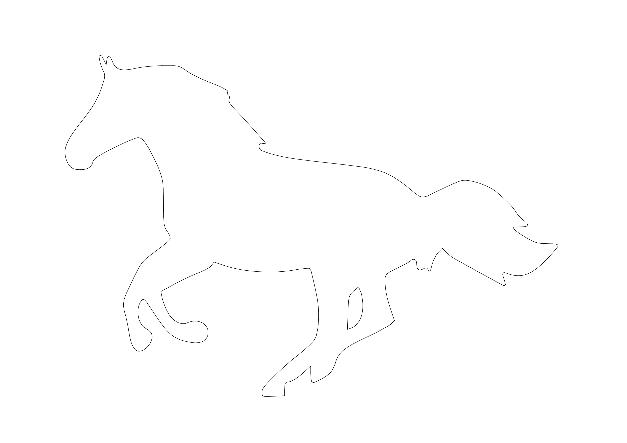 Free Horse CAD Block – DWG, DXF, PDF Format