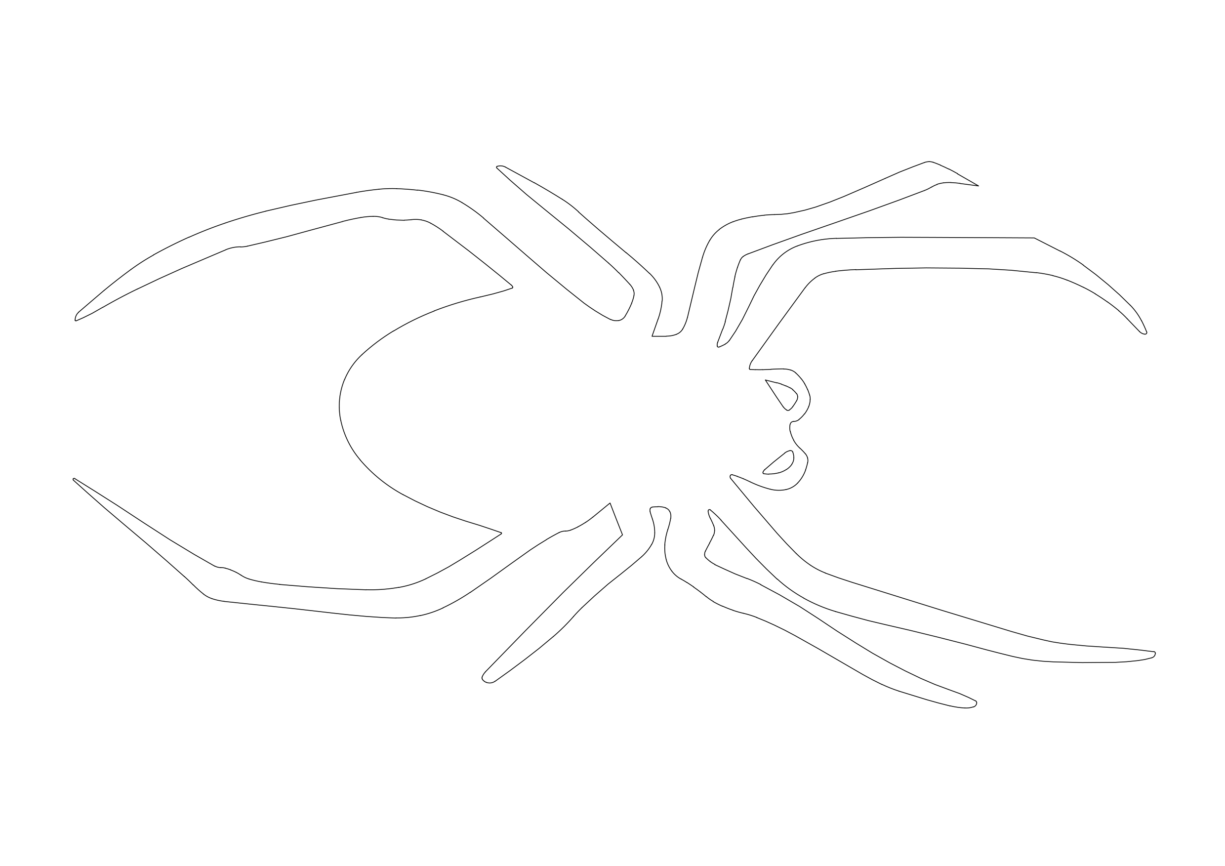 Free Spider CAD Block – DWG, DXF, PDF Format