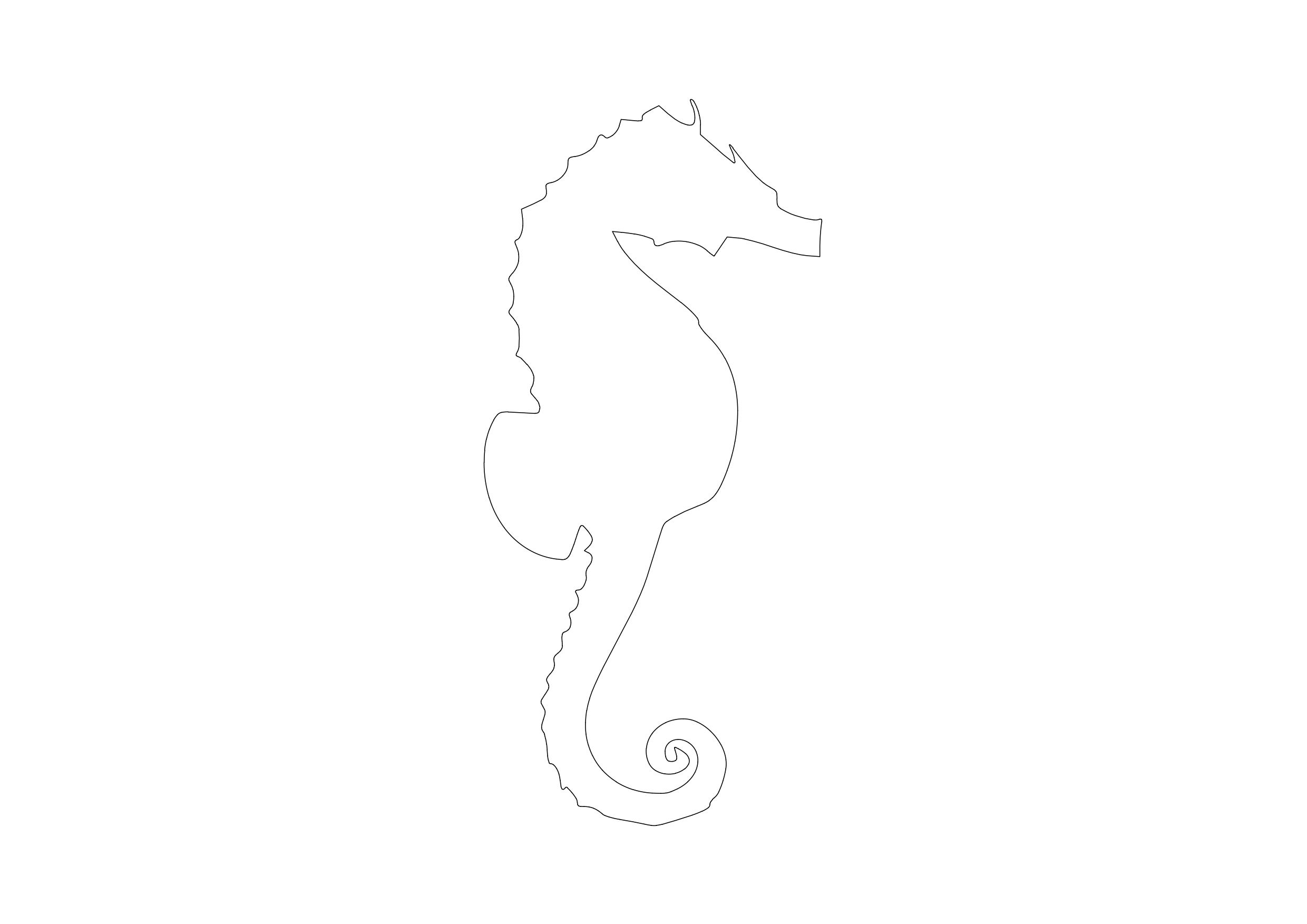 Free Seahorse CAD Block – DWG, DXF, PDF Format