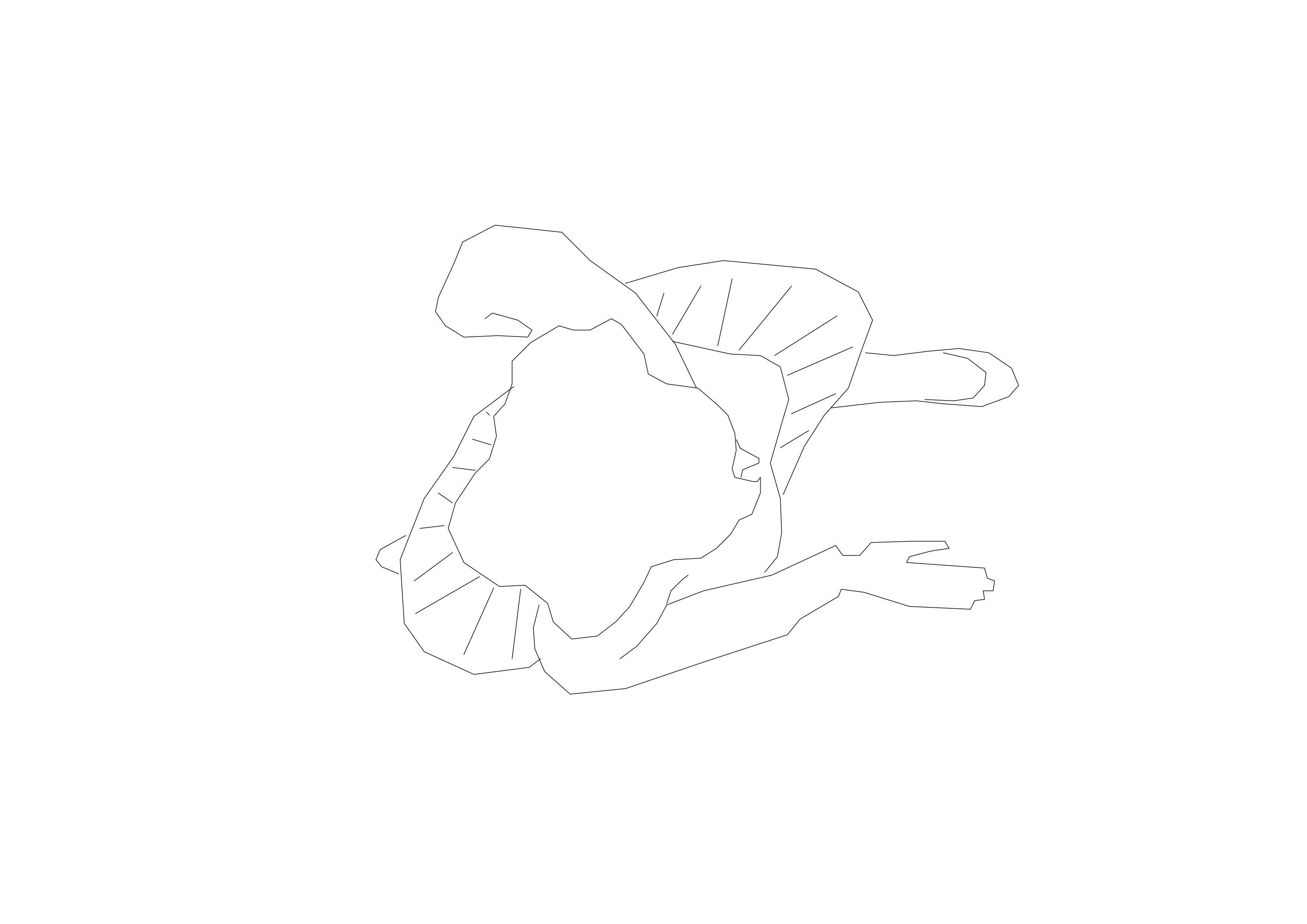 Free Person Walking Top View CAD Block – DWG, DXF, PDF Format