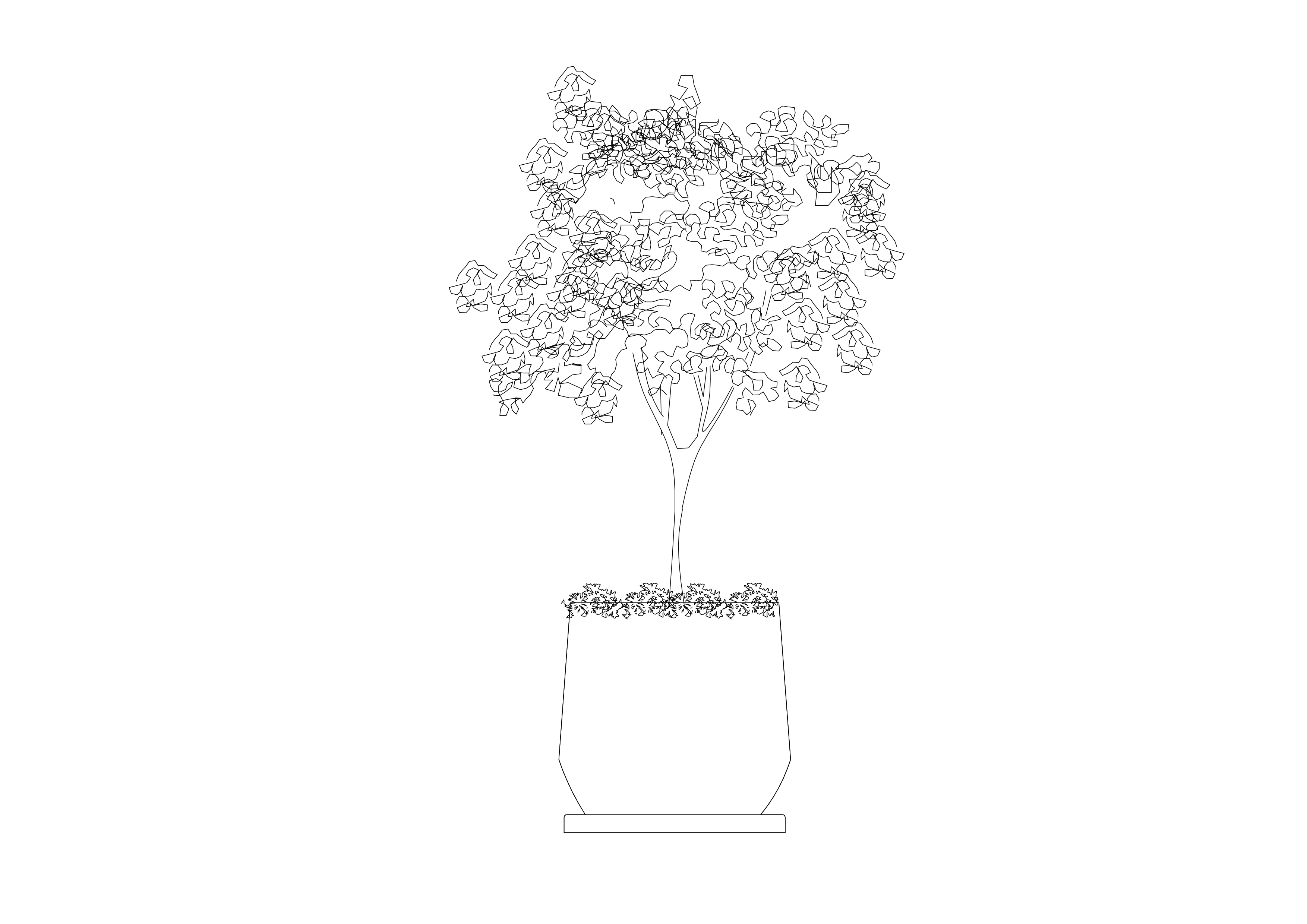 Free Plant Elevation CAD Block – DWG, DXF, PDF Format