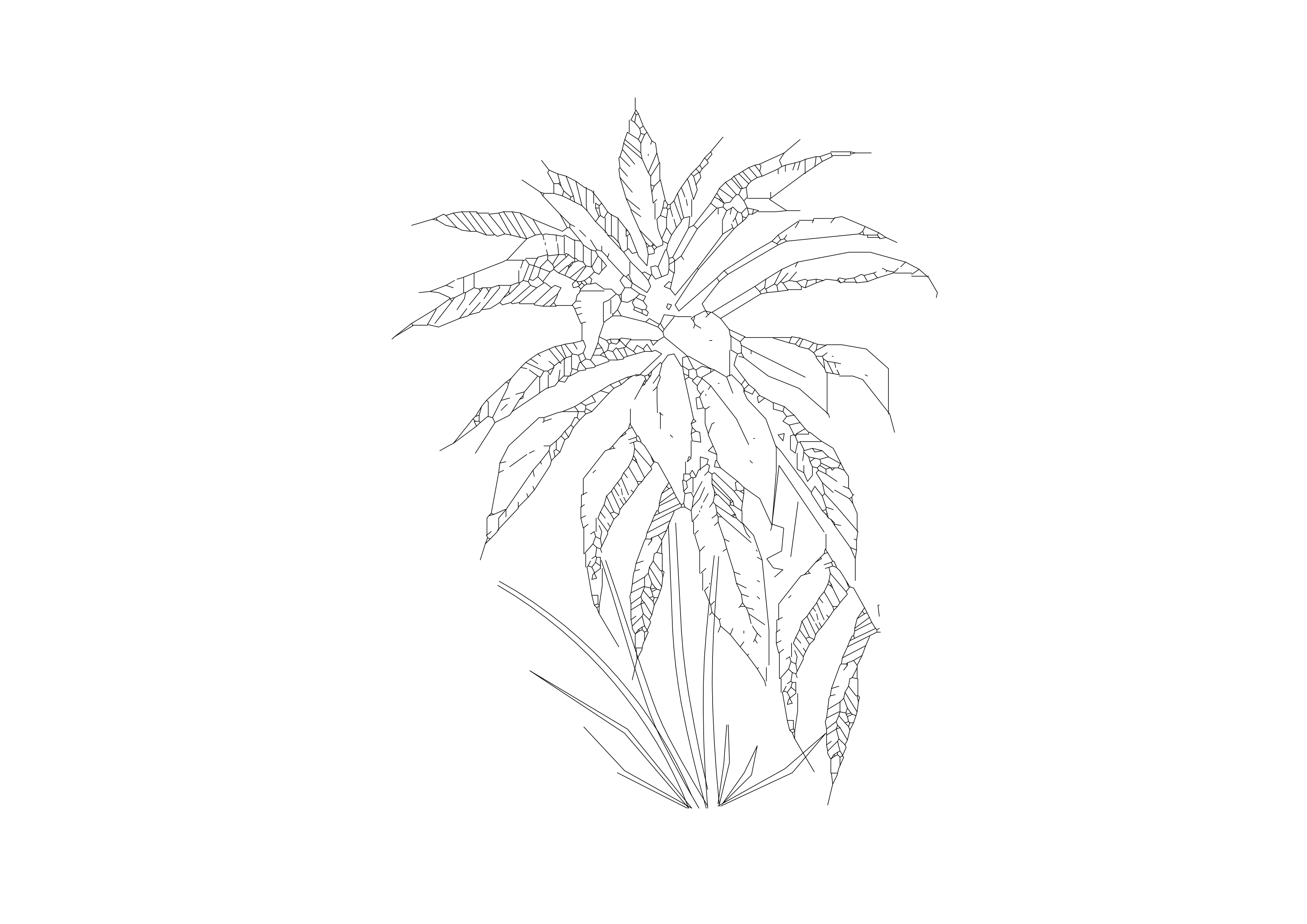 Free Plant Elevation CAD Block – DWG, DXF, PDF Format