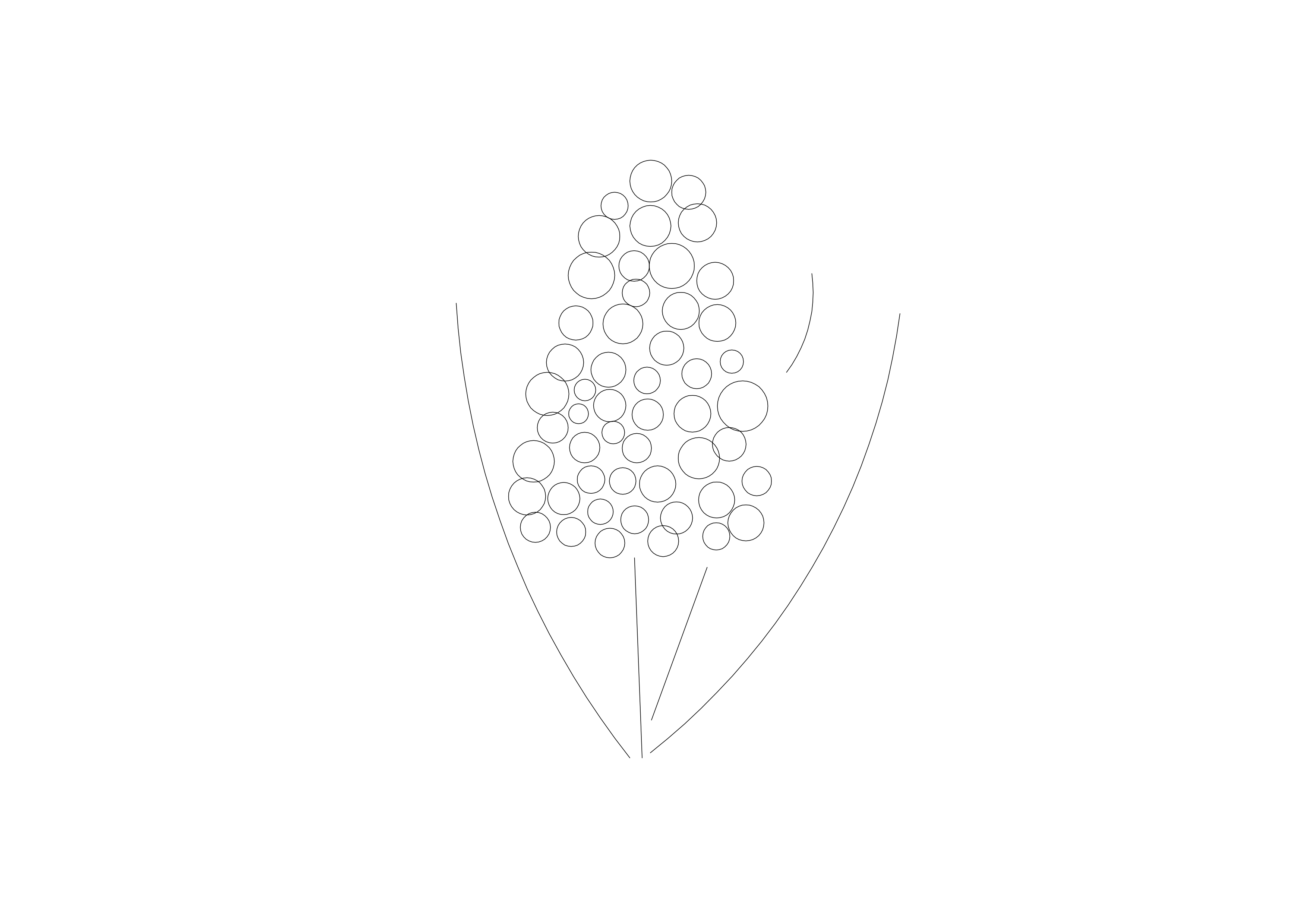 Free Plant Elevation CAD Block – DWG, DXF, PDF Format