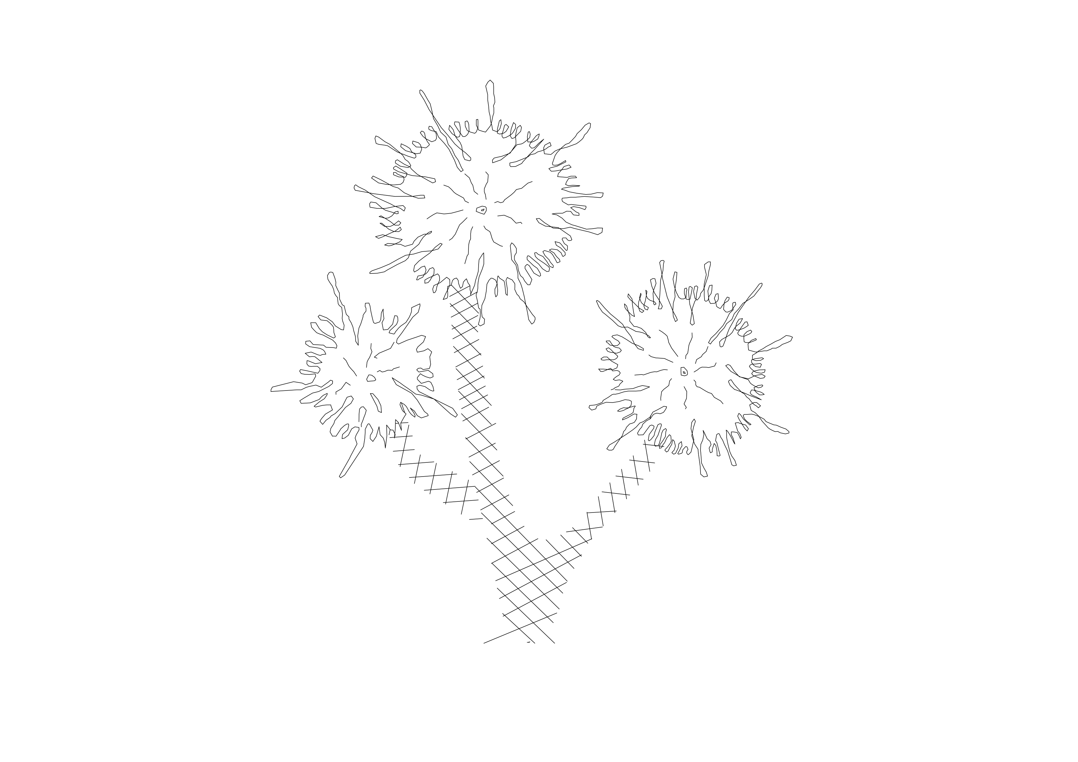 Free Plant Elevation CAD Block – DWG, DXF, PDF Format