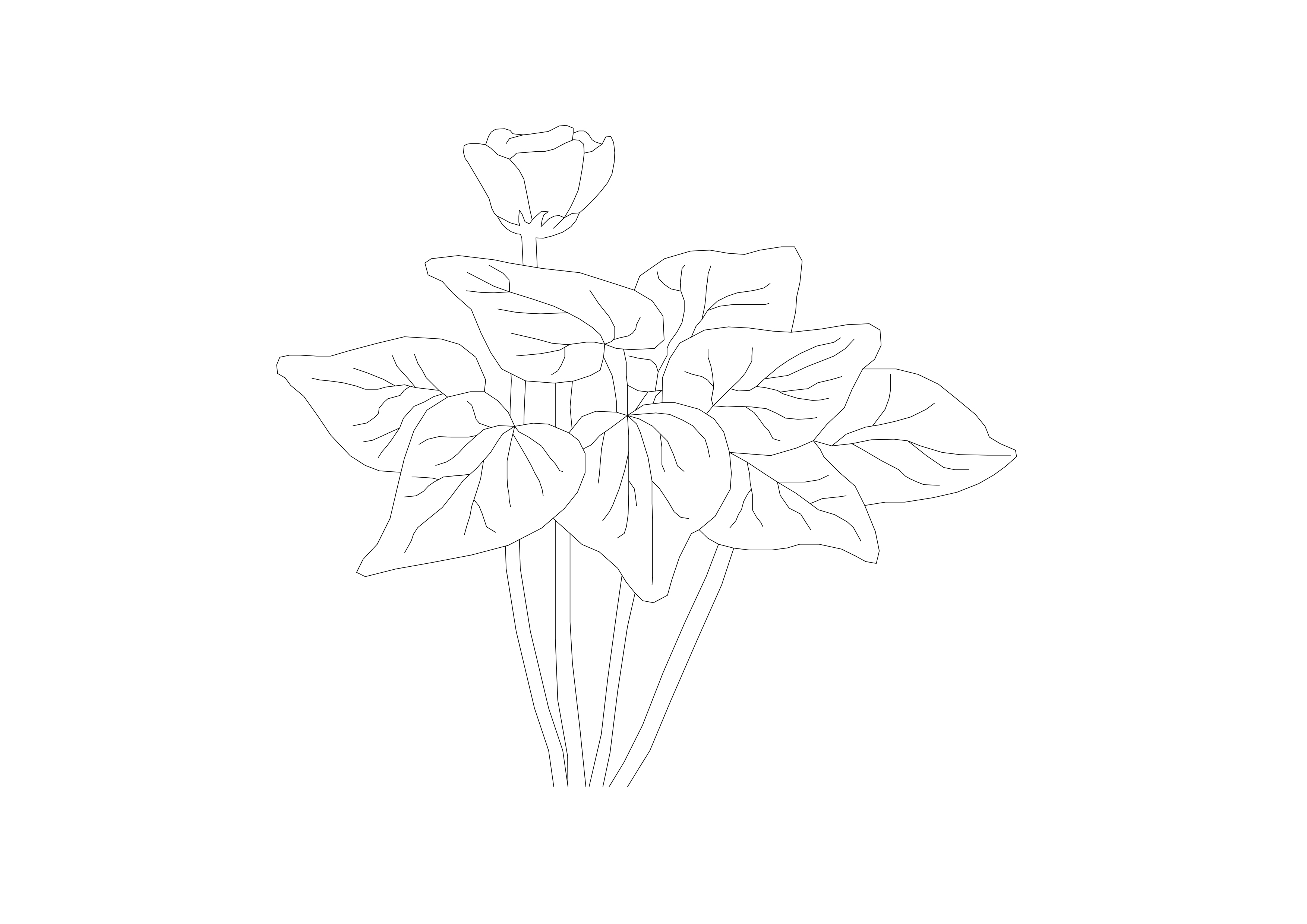 Free Plant Elevation CAD Block – DWG, DXF, PDF Format