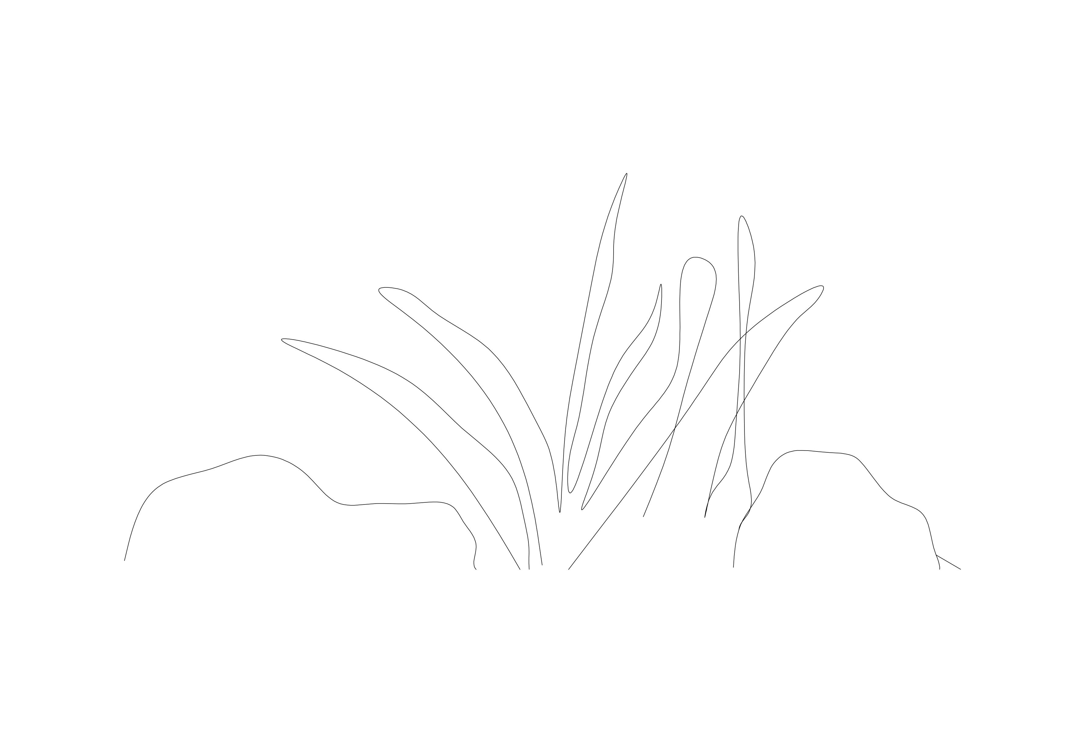 Free Plant Elevation CAD Block – DWG, DXF, PDF Format