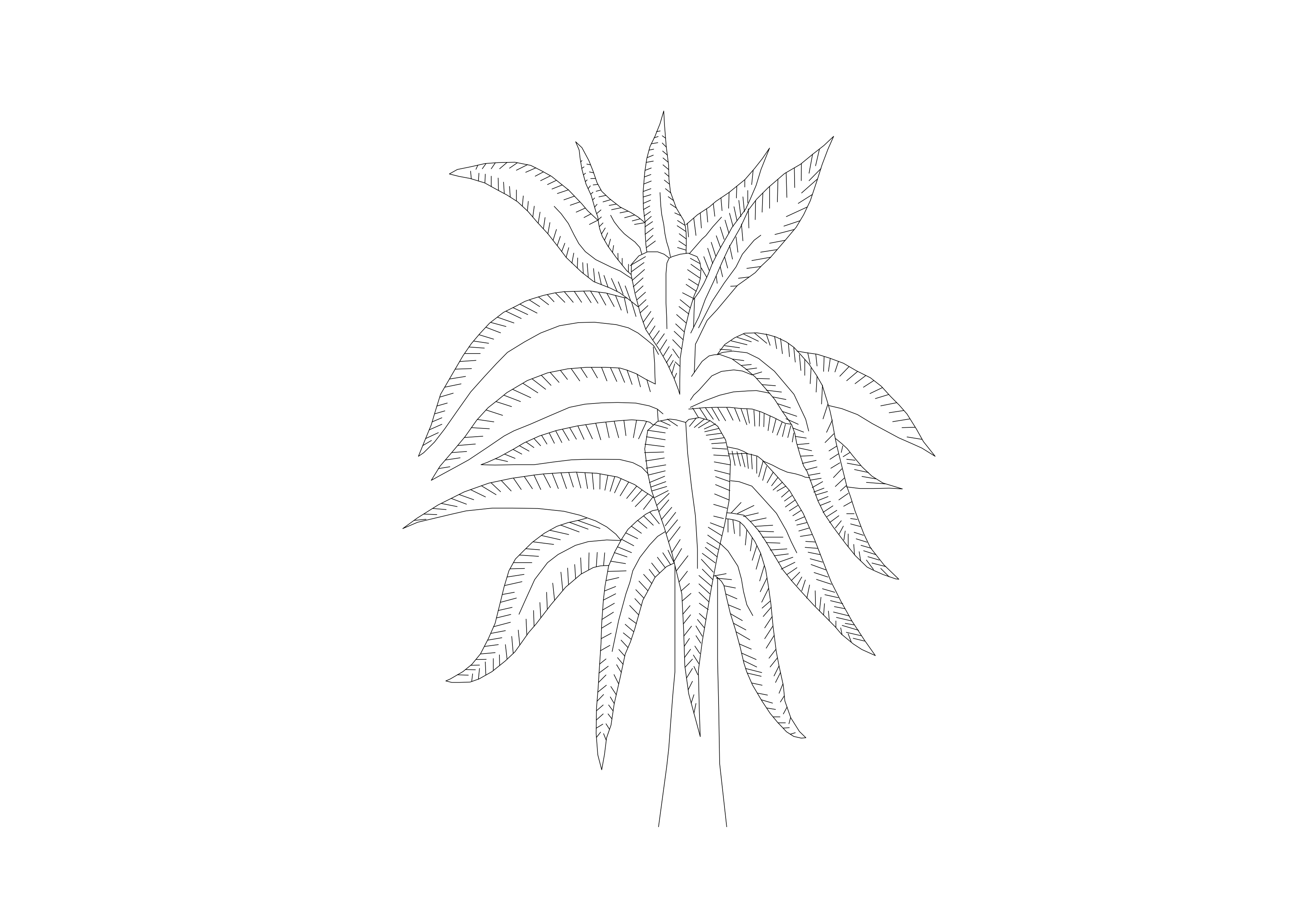 Free Plant Elevation CAD Block – DWG, DXF, PDF Format