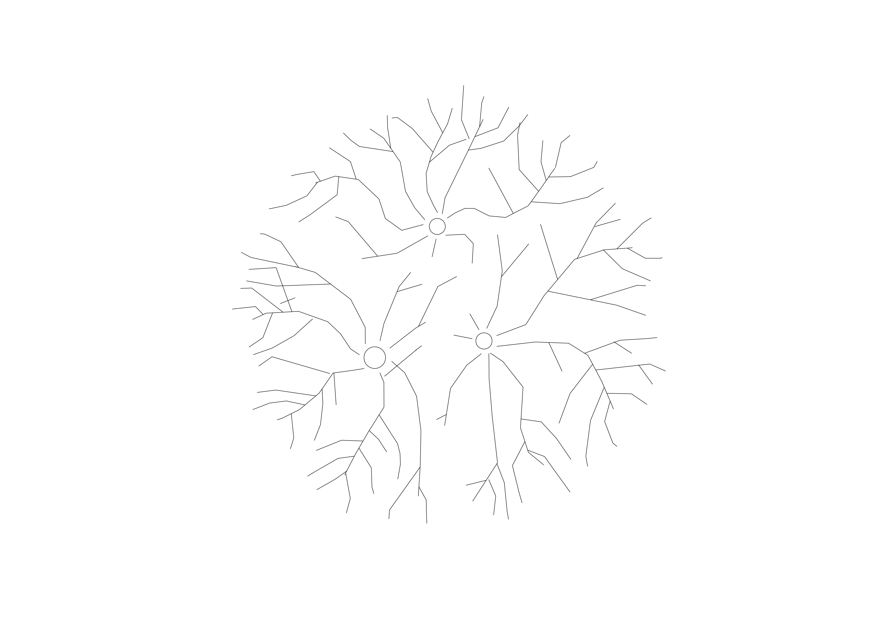 Free Plant Top View CAD Block – DWG, DXF, PDF Format