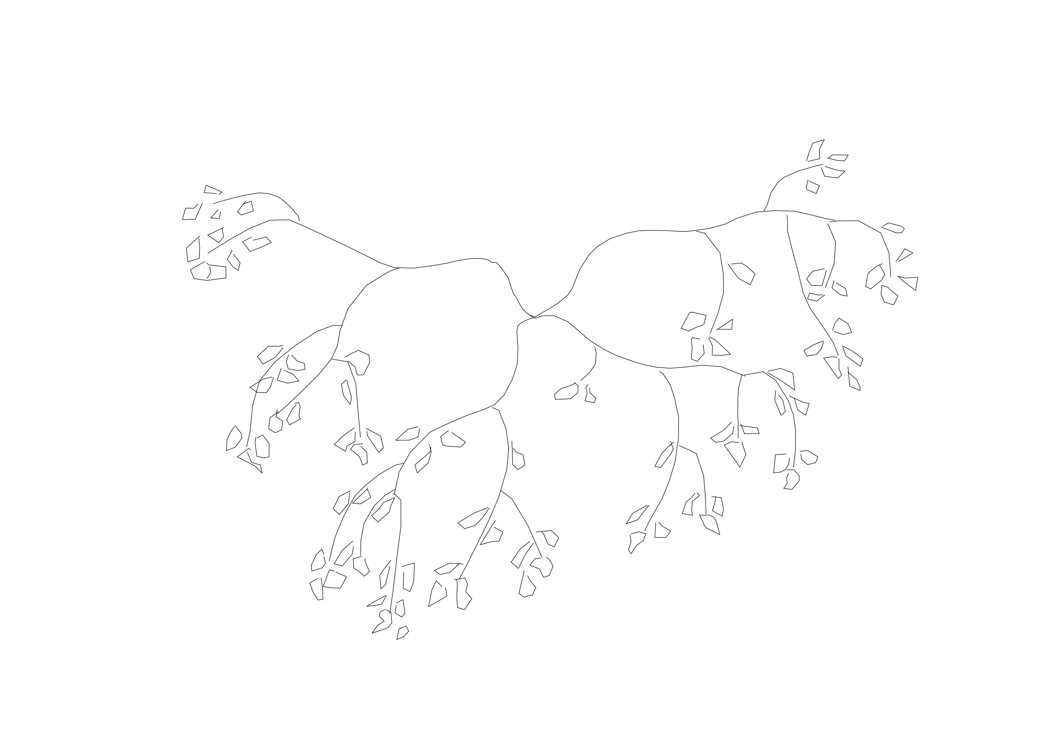 Free Plant Top View CAD Block – DWG, DXF, PDF Format