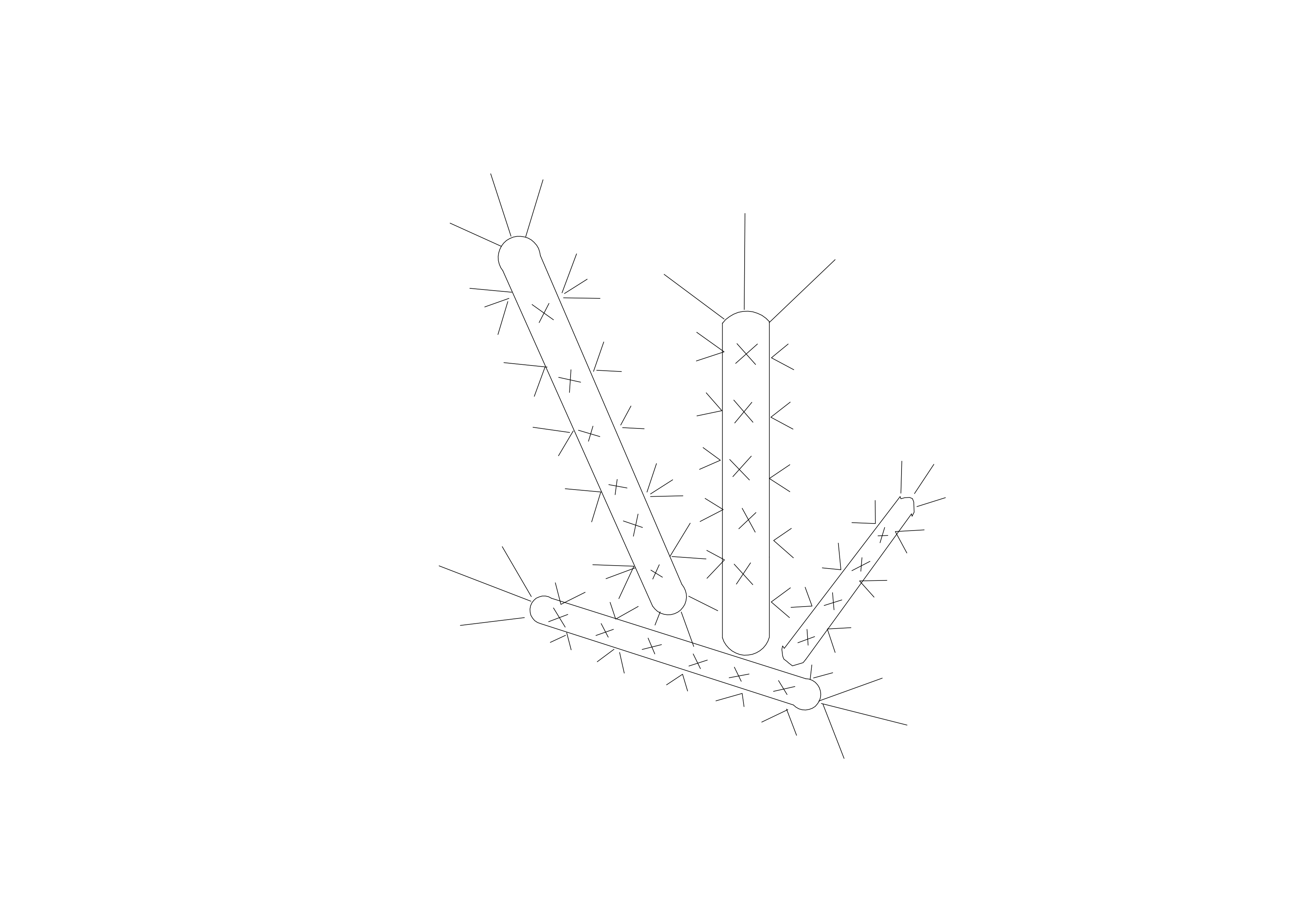 Free Plant Top View CAD Block – DWG, DXF, PDF Format