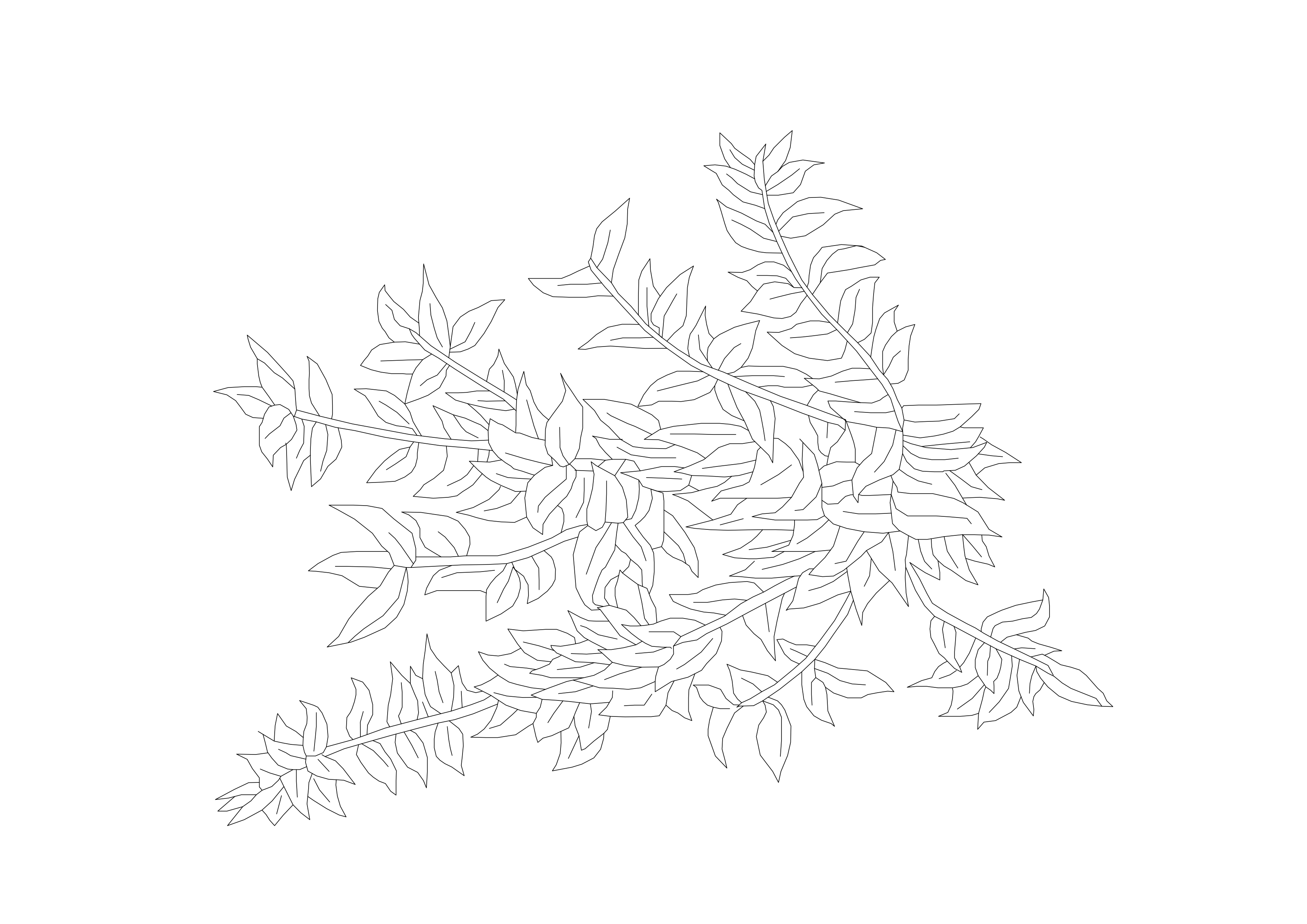 Free Plant Top View CAD Block – DWG, DXF, PDF Format