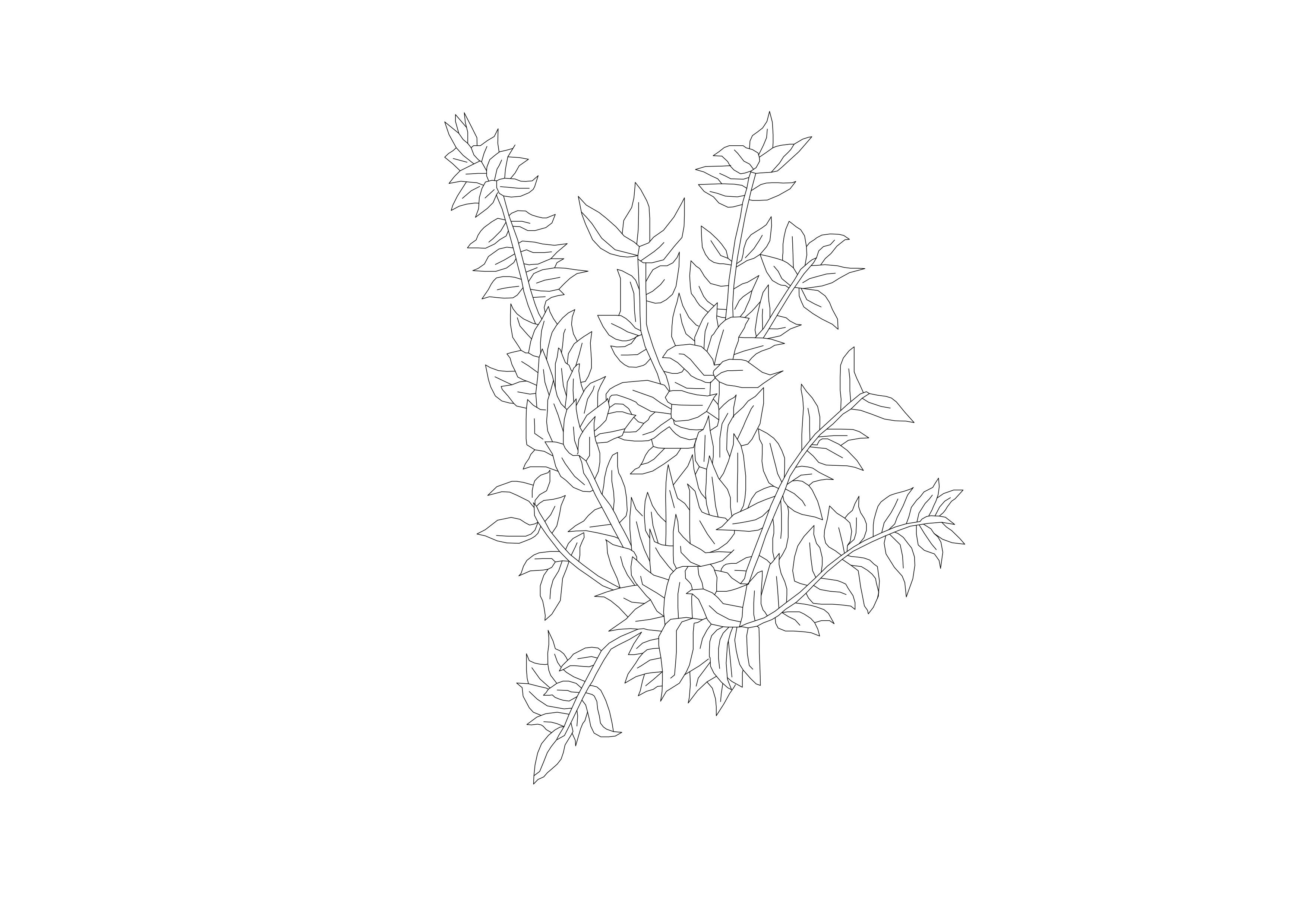 Free Plant Top View CAD Block – DWG, DXF, PDF Format