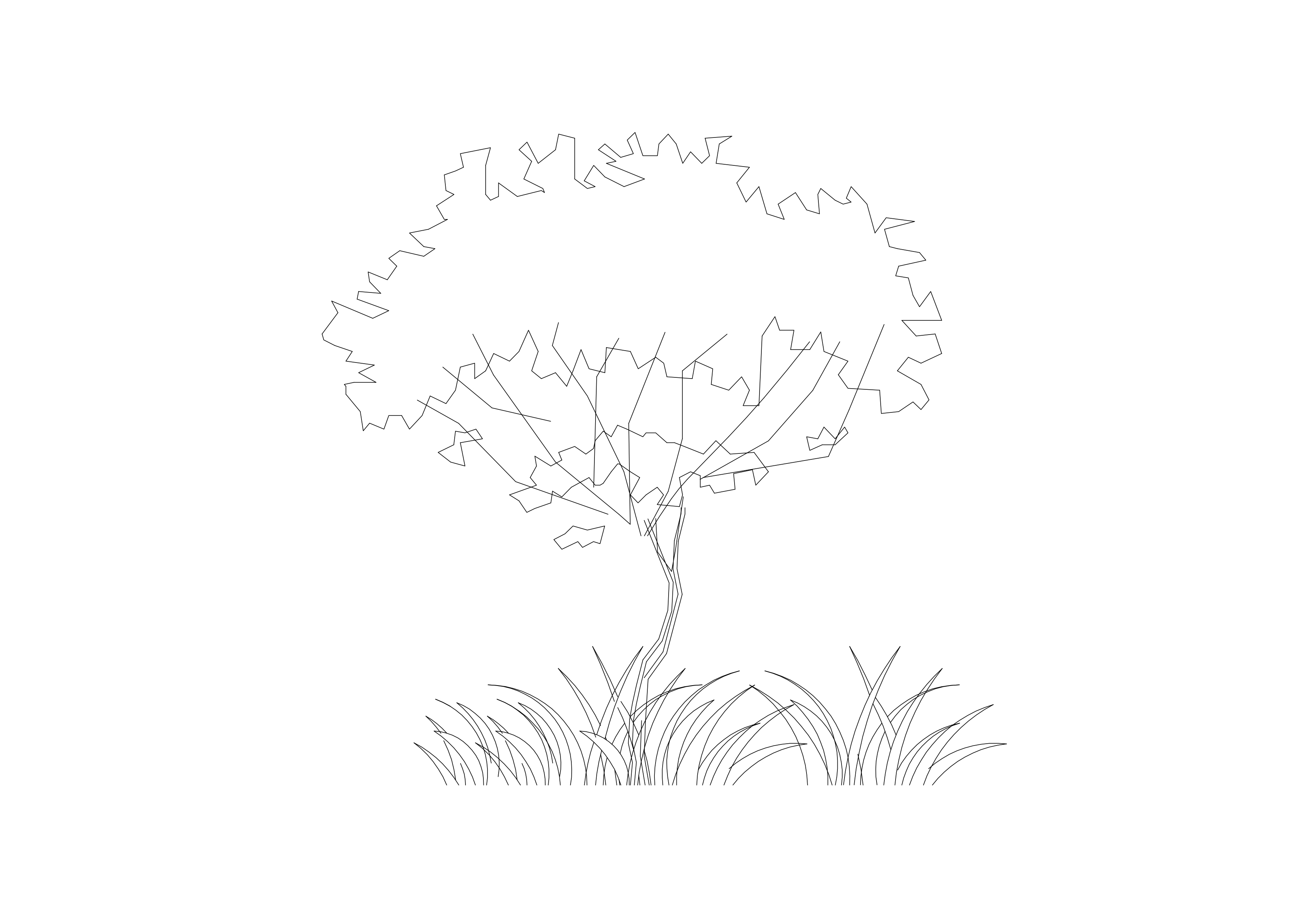 Free Tree Elevation CAD Block – DWG, DXF, PDF Format