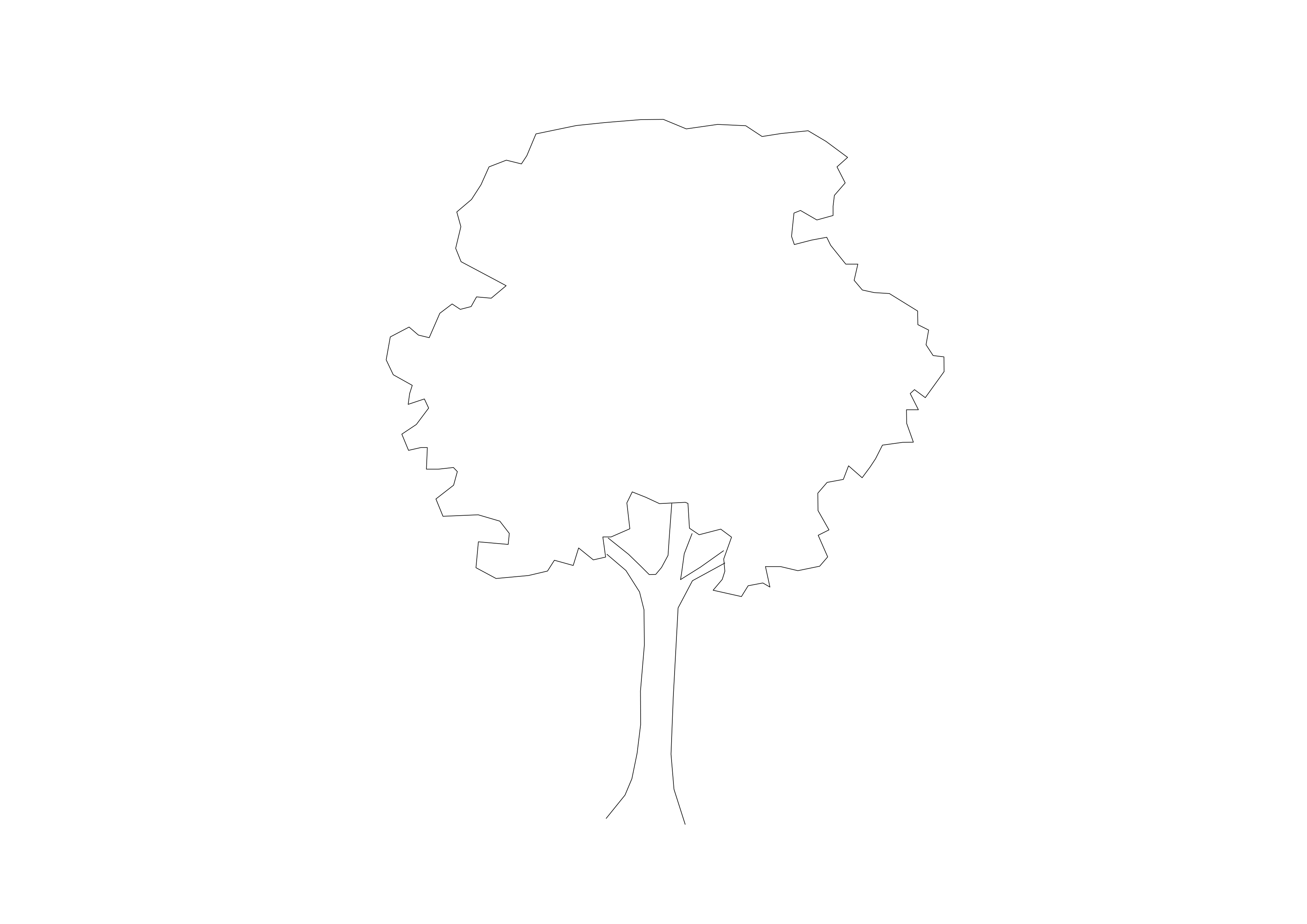 Free Tree Elevation CAD Block – DWG, DXF, PDF Format