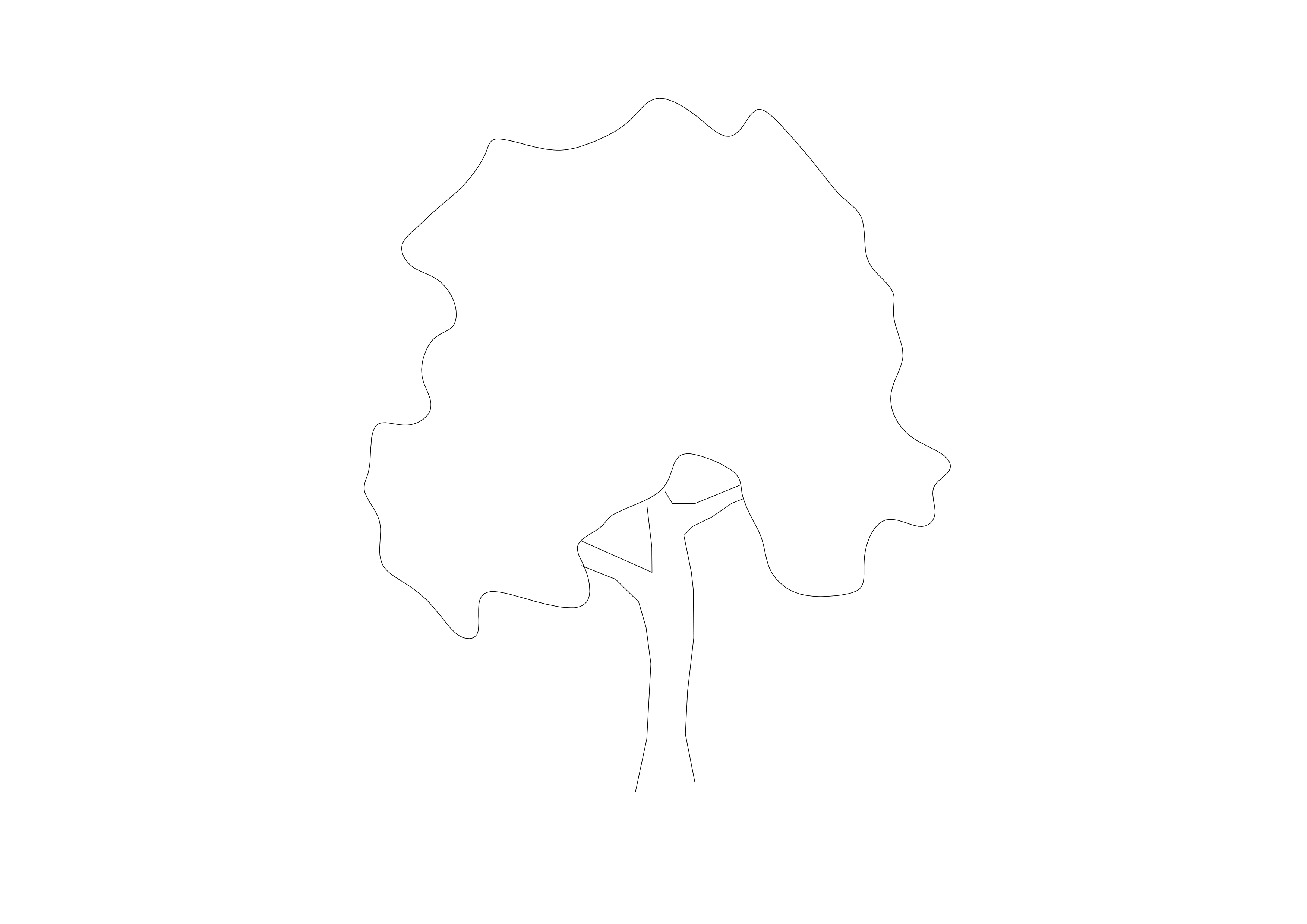 Free Tree Elevation CAD Block – DWG, DXF, PDF Format