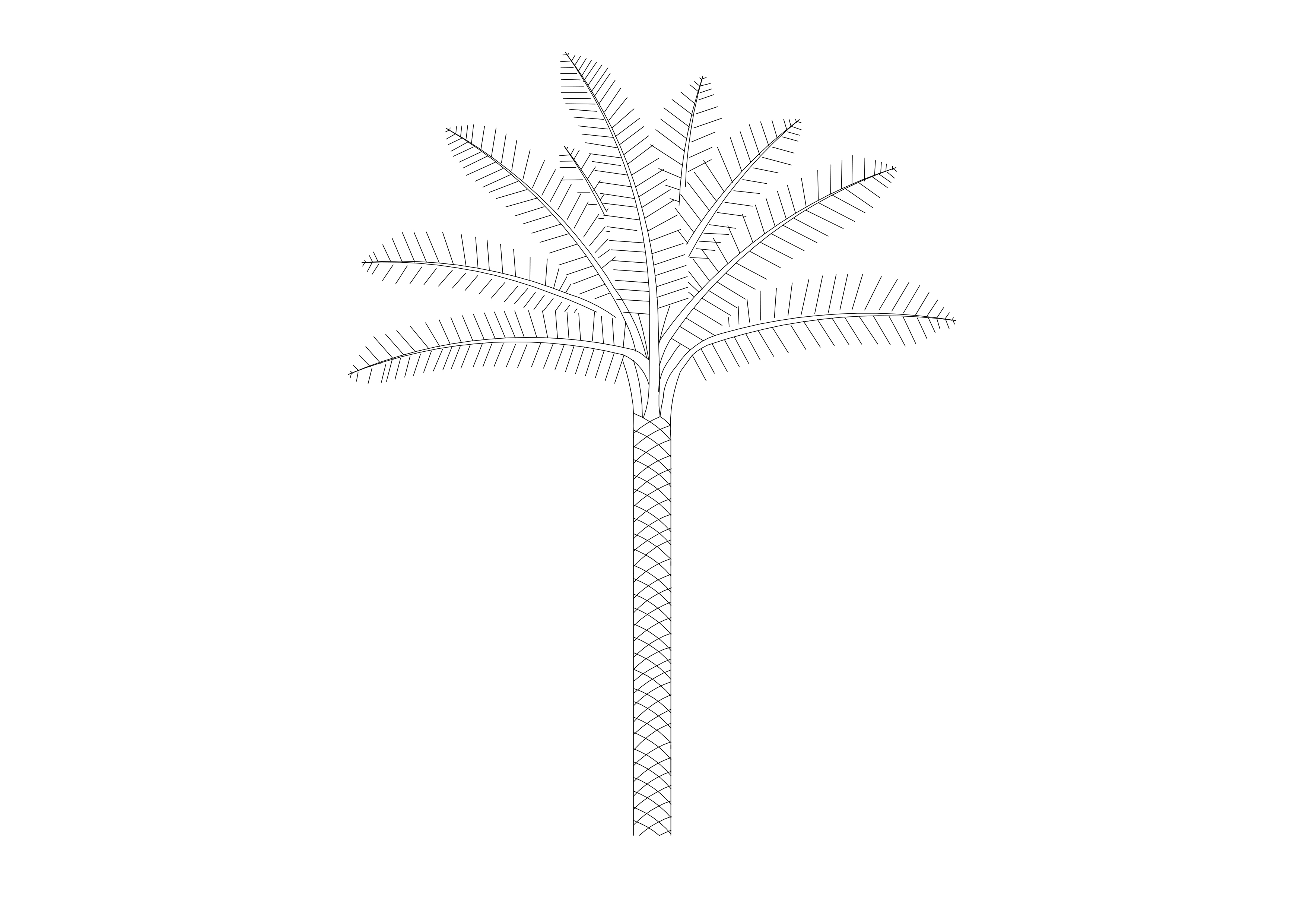 Free Palm Tree Elevation CAD Block – DWG, DXF, PDF Format