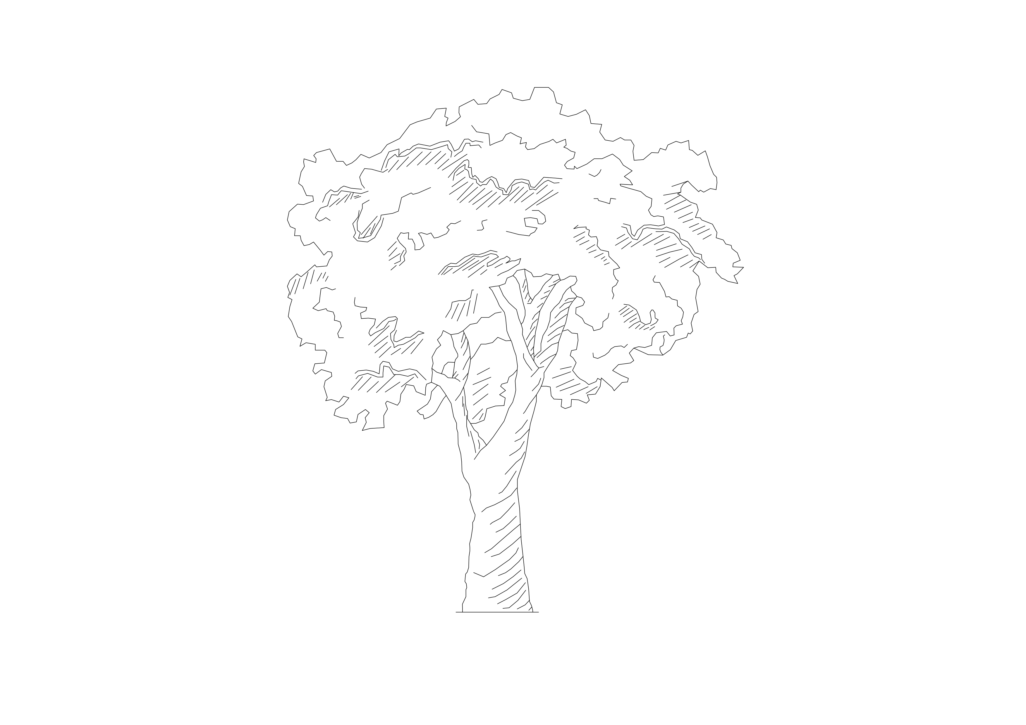 Free Tree Elevation CAD Block – DWG, DXF, PDF Format