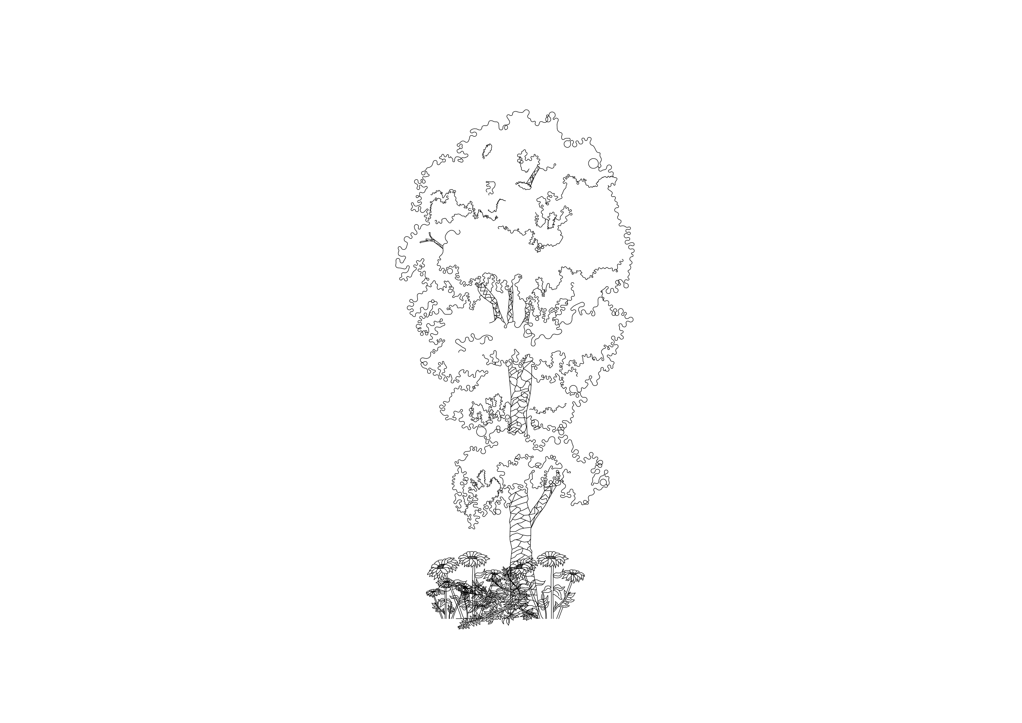 Free Tree Elevation CAD Block – DWG, DXF, PDF Format
