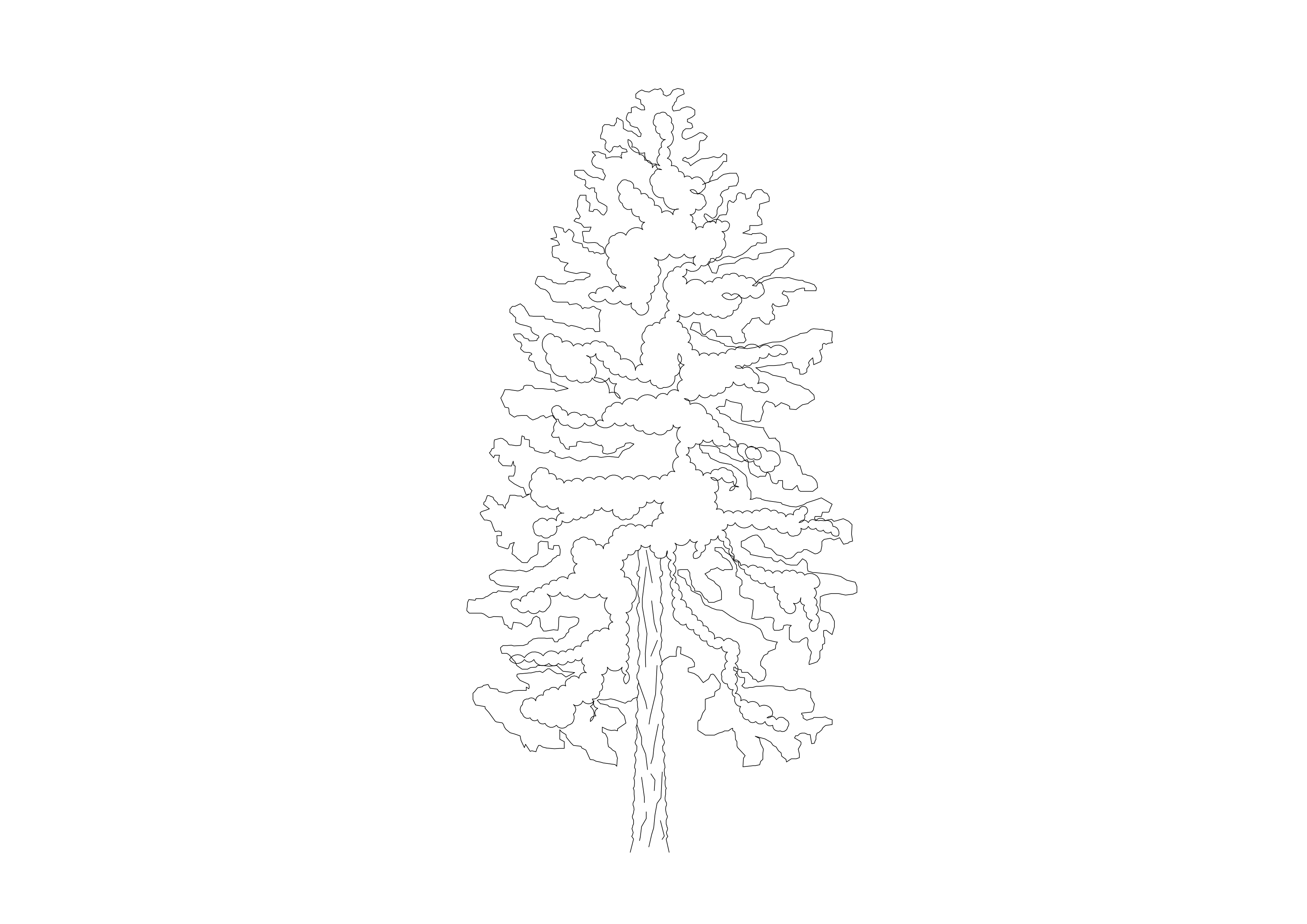 Free Tree Elevation CAD Block – DWG, DXF, PDF Format