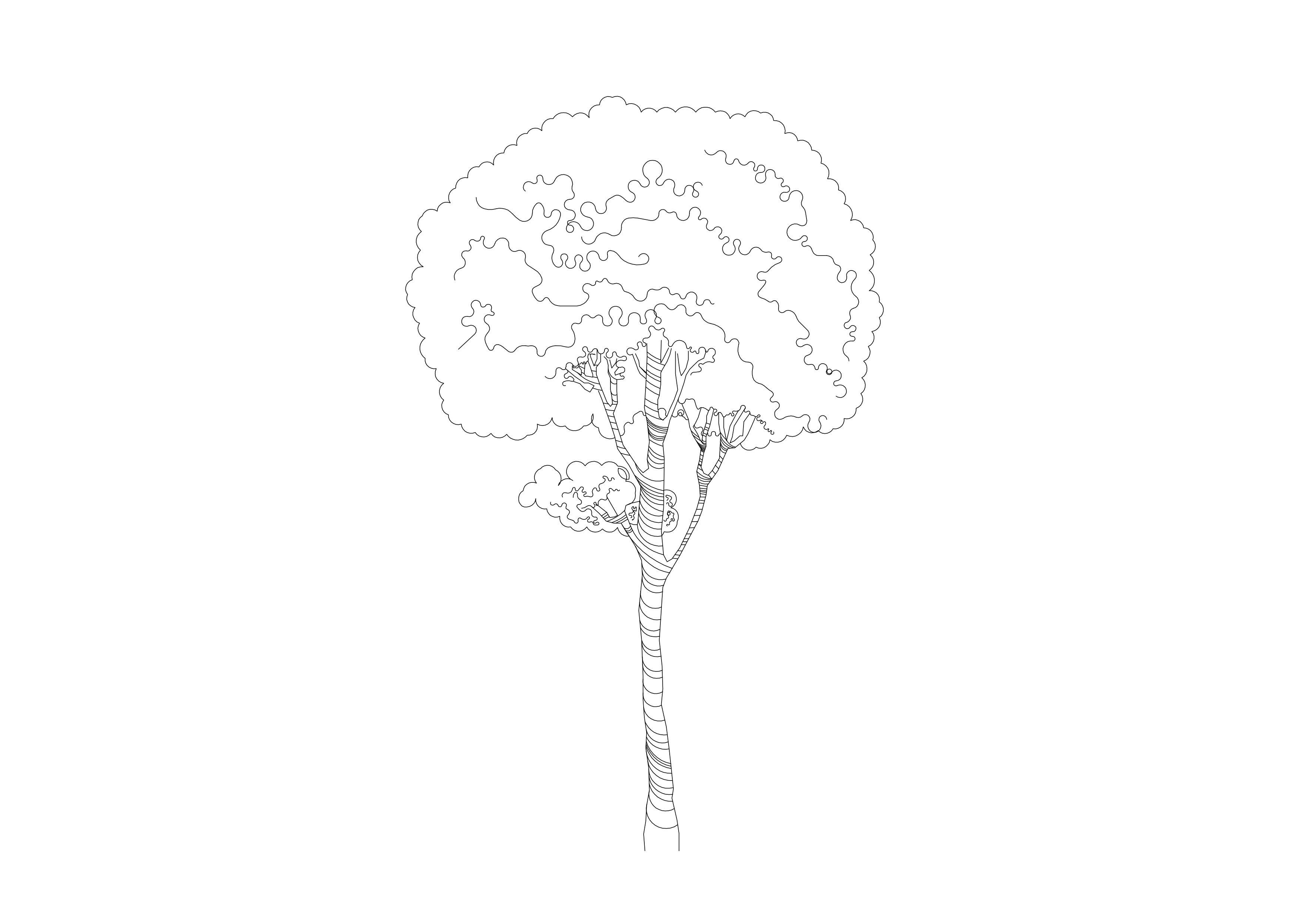Free Tree Elevation CAD Block – DWG, DXF, PDF Format
