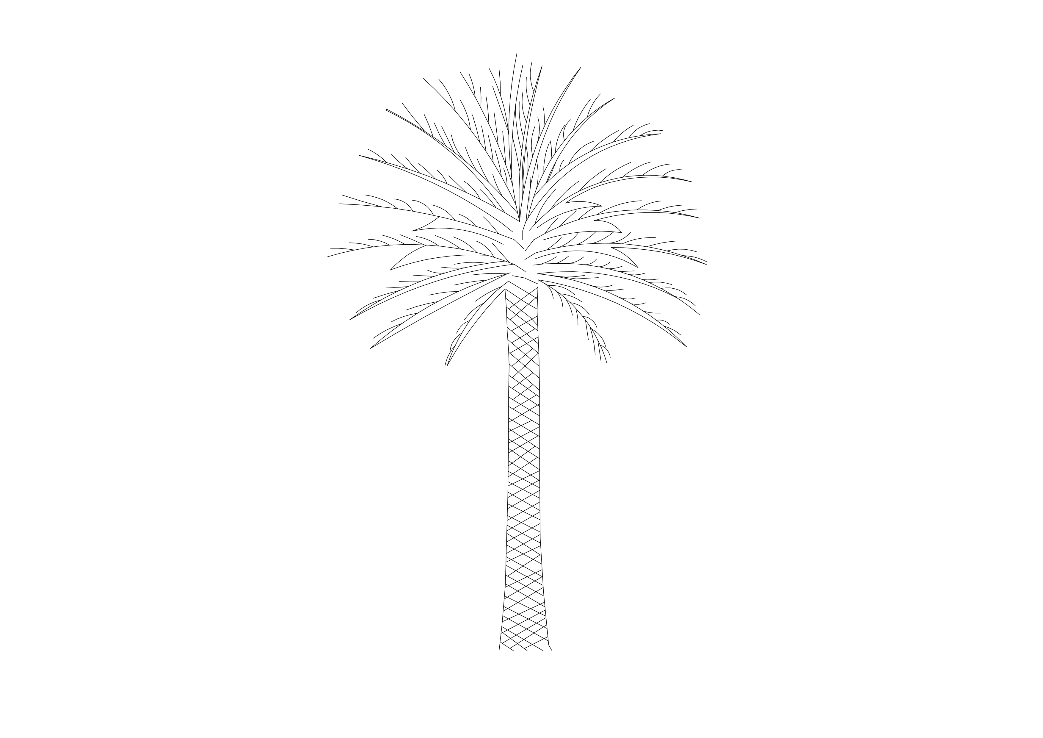 Free Palm Tree Elevation CAD Block – DWG, DXF, PDF Format