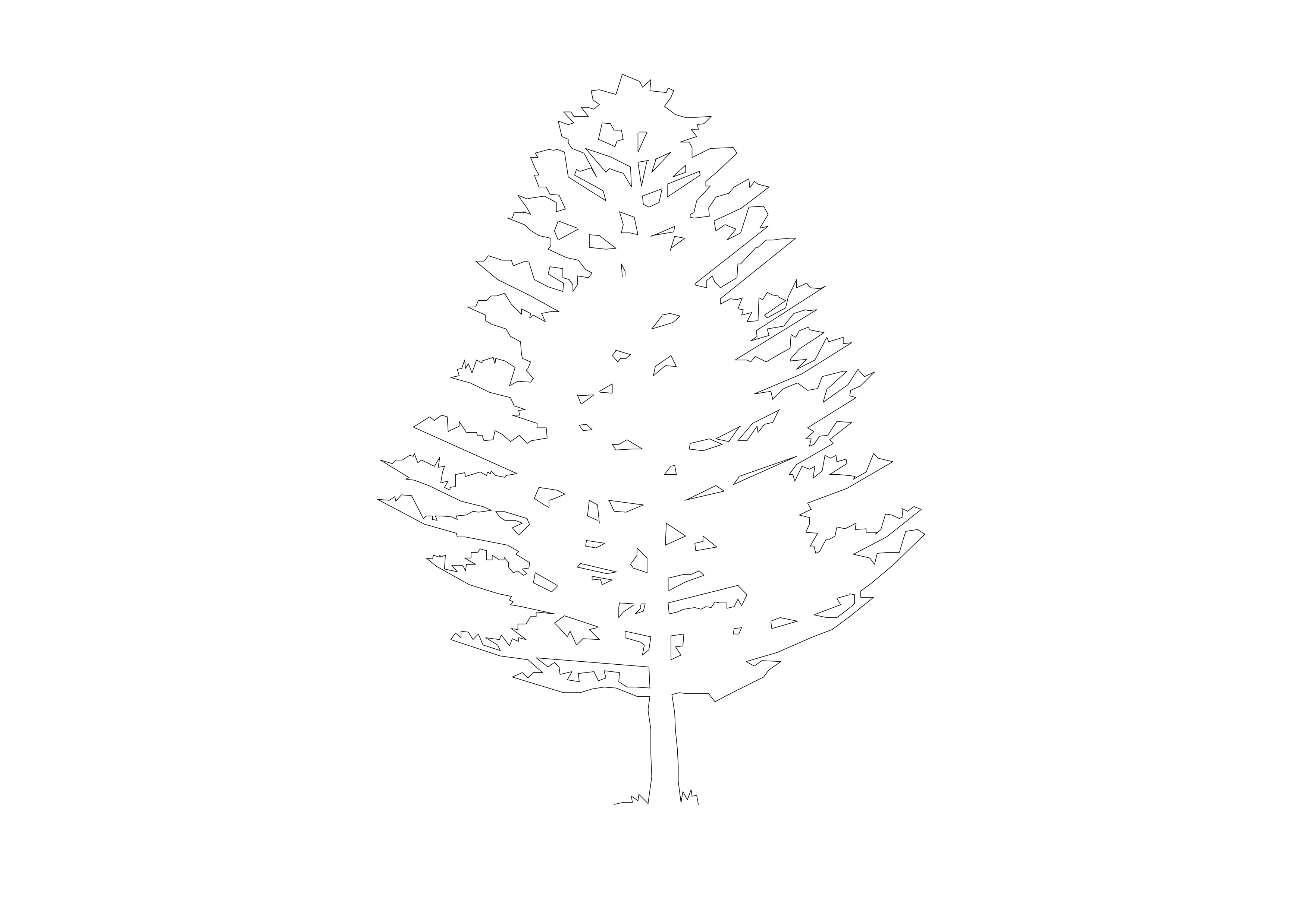 Free Tree Elevation CAD Block – DWG, DXF, PDF Format