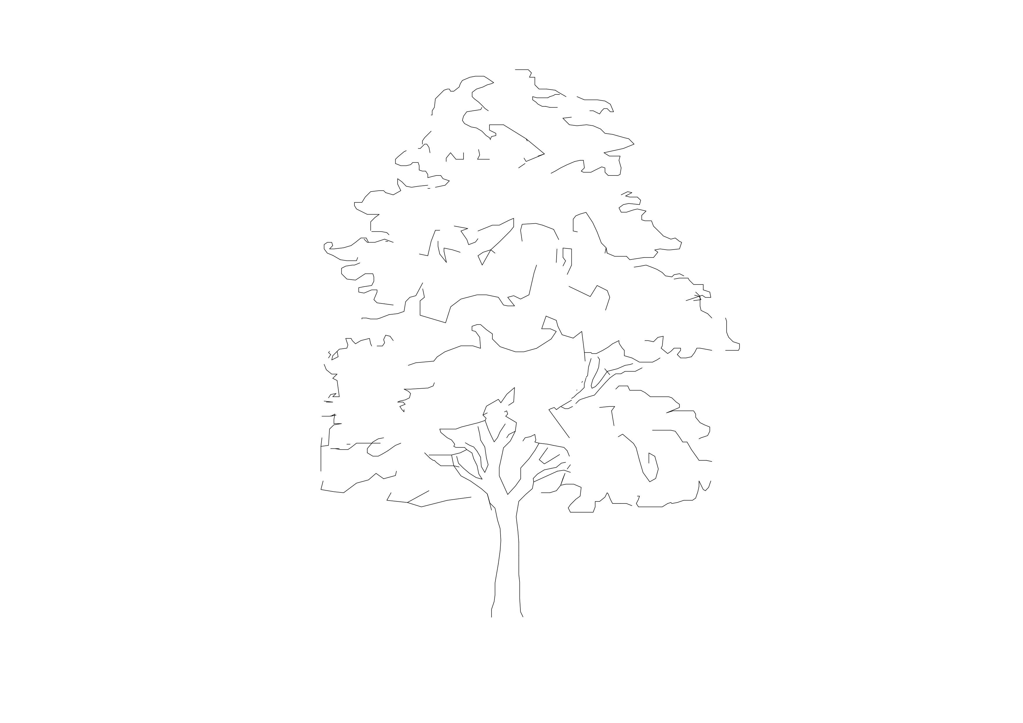 Free Tree Elevation CAD Block – DWG, DXF, PDF Format