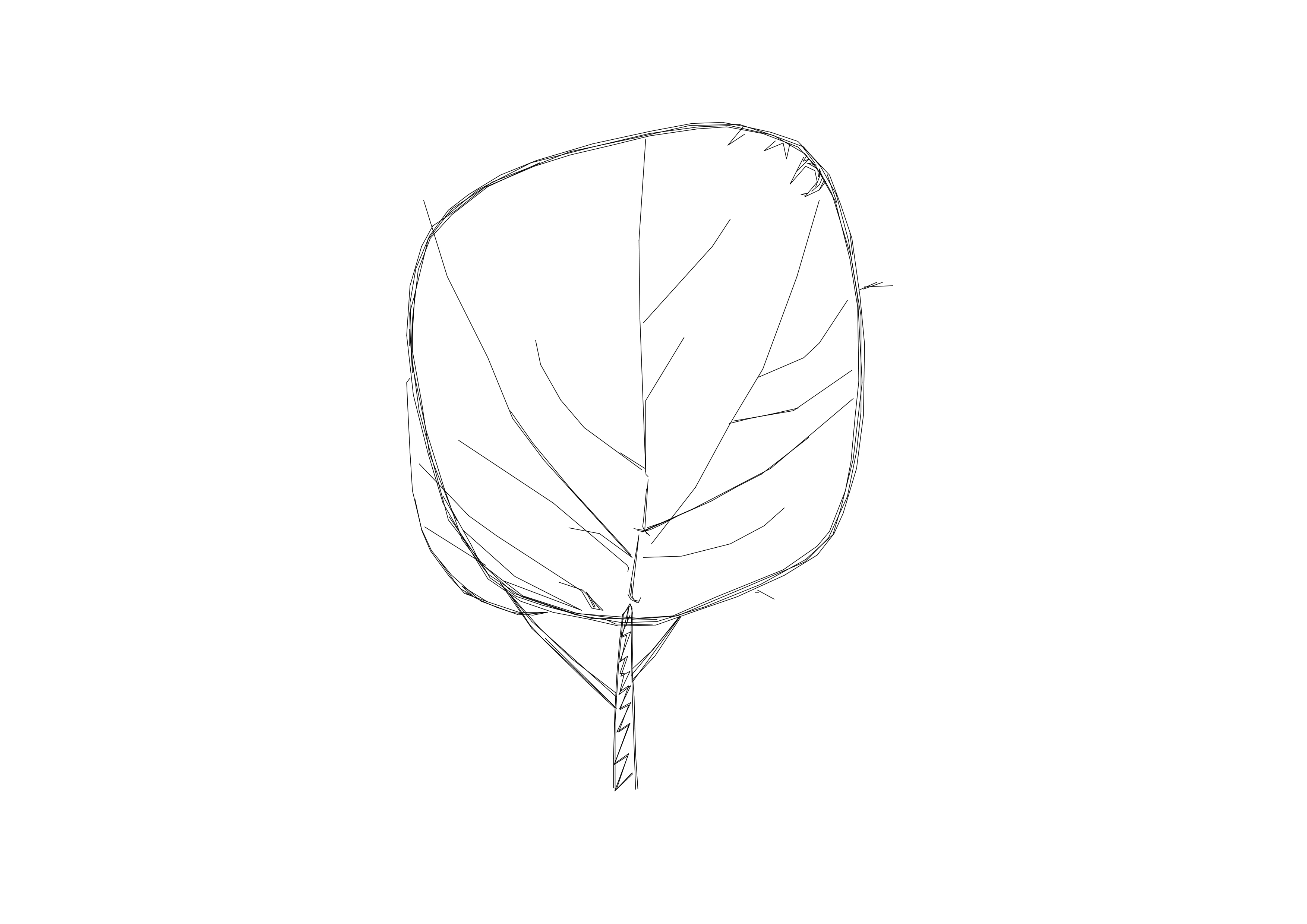 Free Tree Elevation CAD Block – DWG, DXF, PDF Format