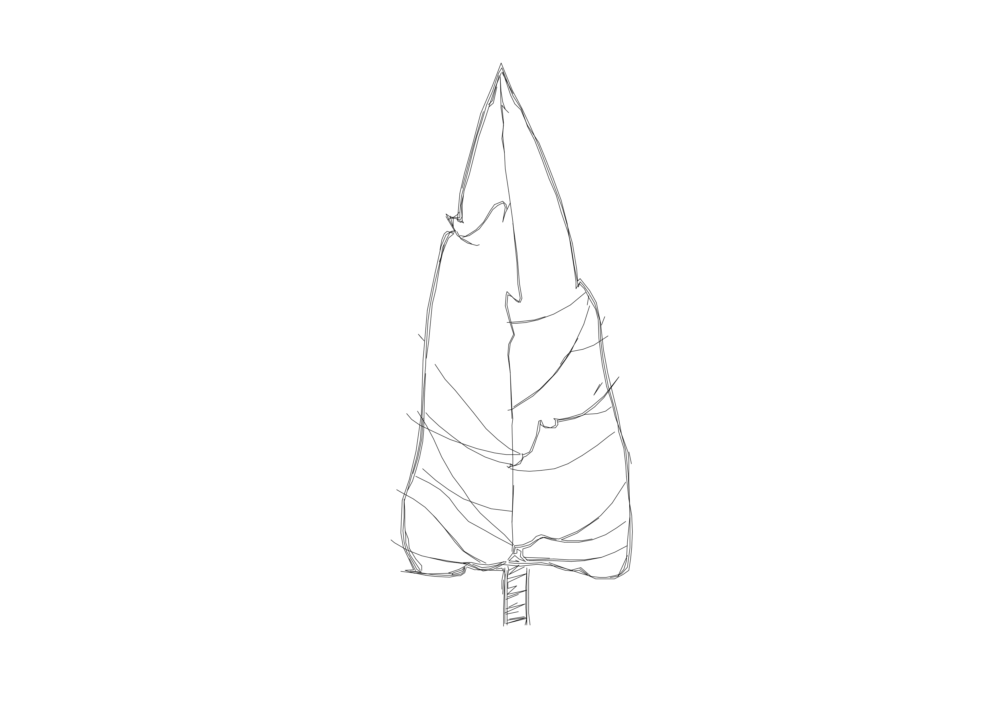 Free Tree Elevation CAD Block – DWG, DXF, PDF Format