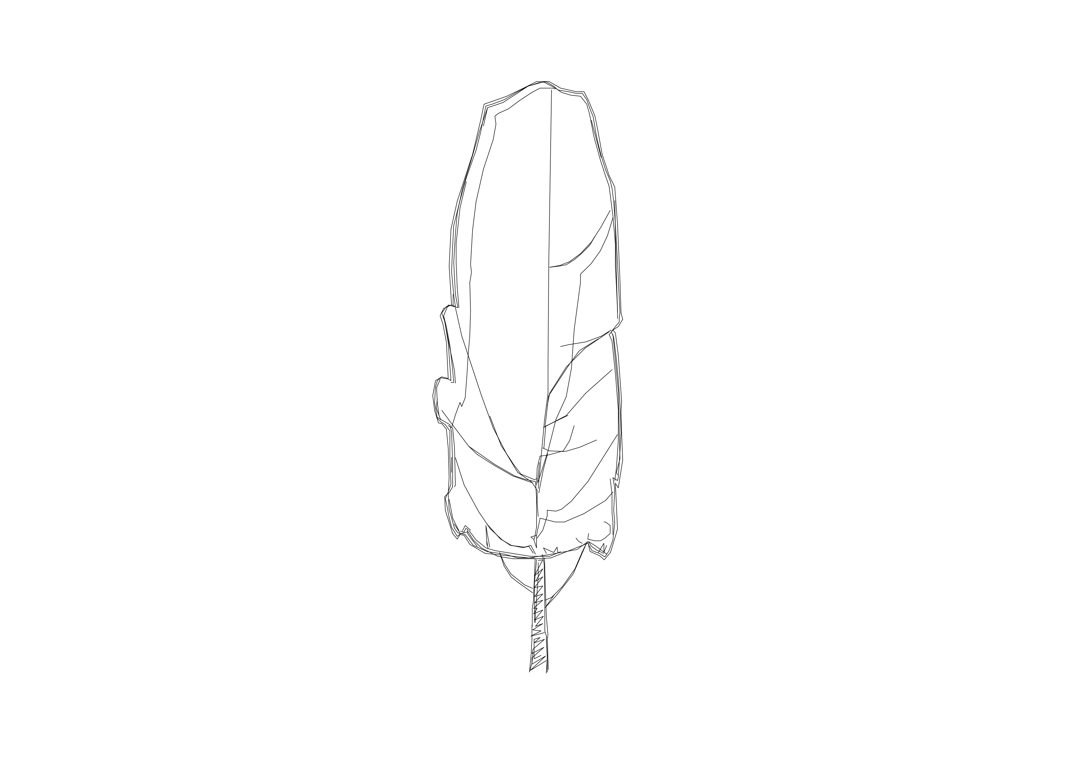 Free Tree Elevation CAD Block – DWG, DXF, PDF Format
