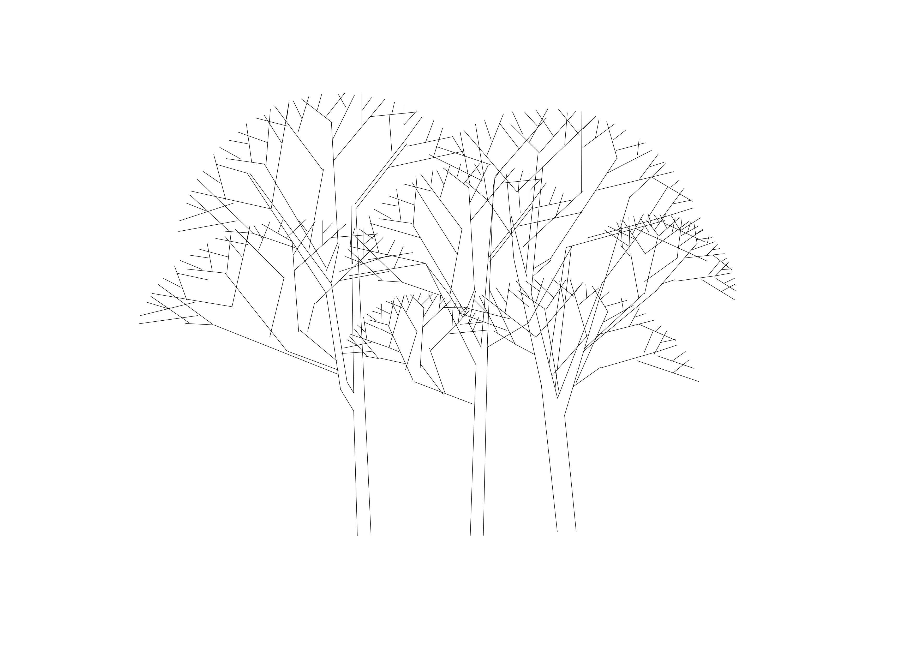 Free Multiple Trees Elevation CAD Block – DWG, DXF, PDF Format