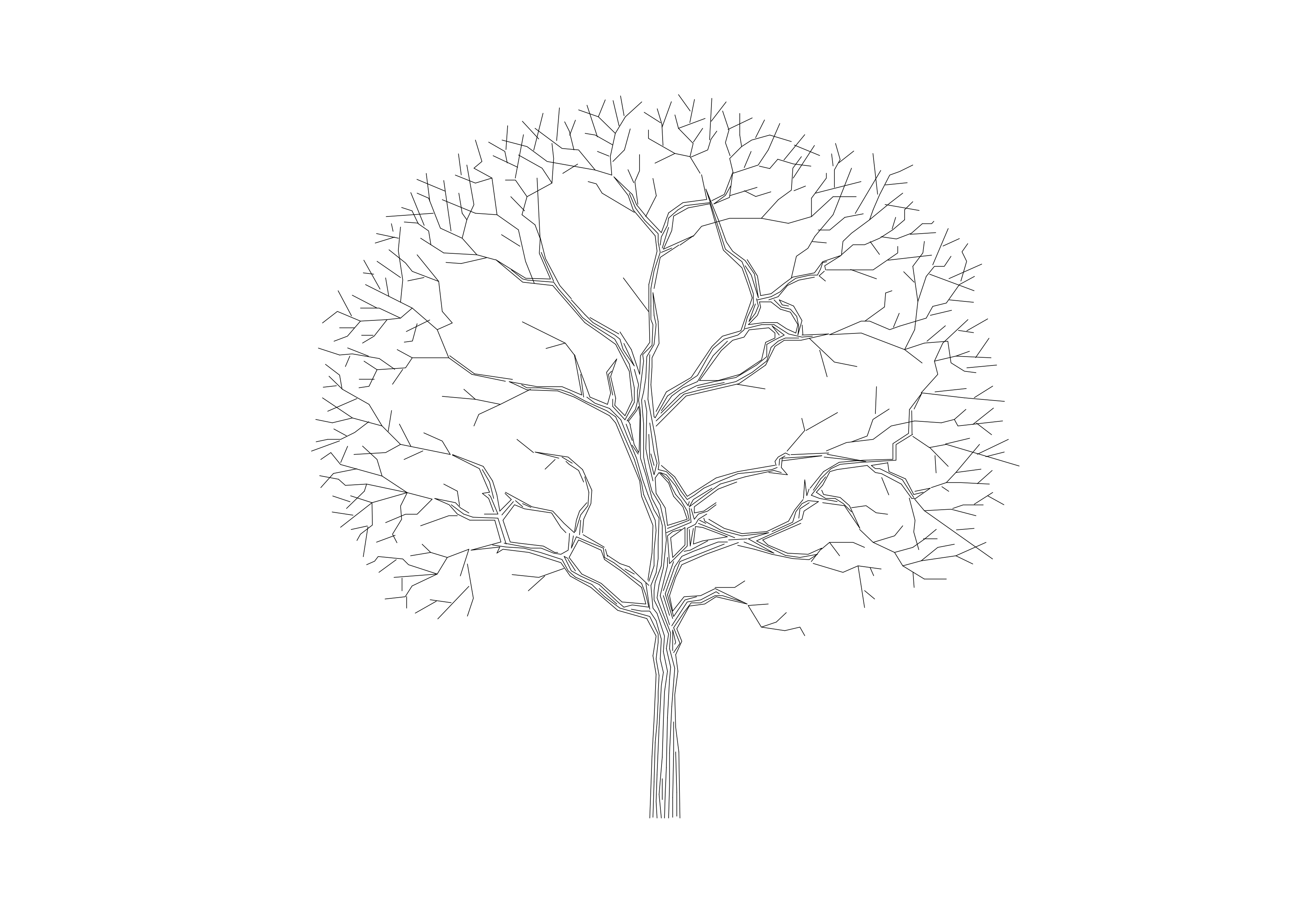 Free Tree Elevation CAD Block – DWG, DXF, PDF Format