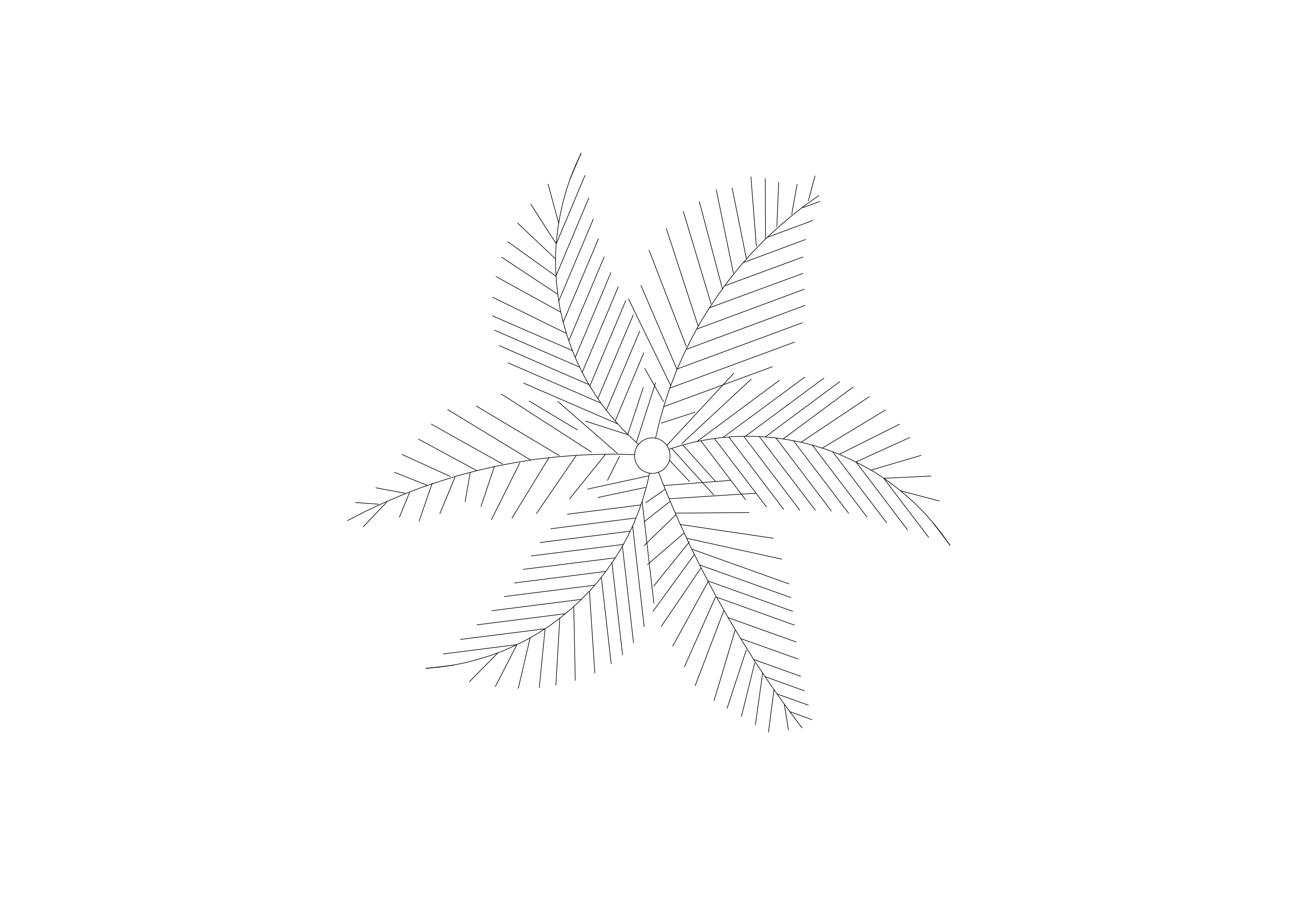 Free Tree Top View CAD Block – DWG, DXF, PDF Format