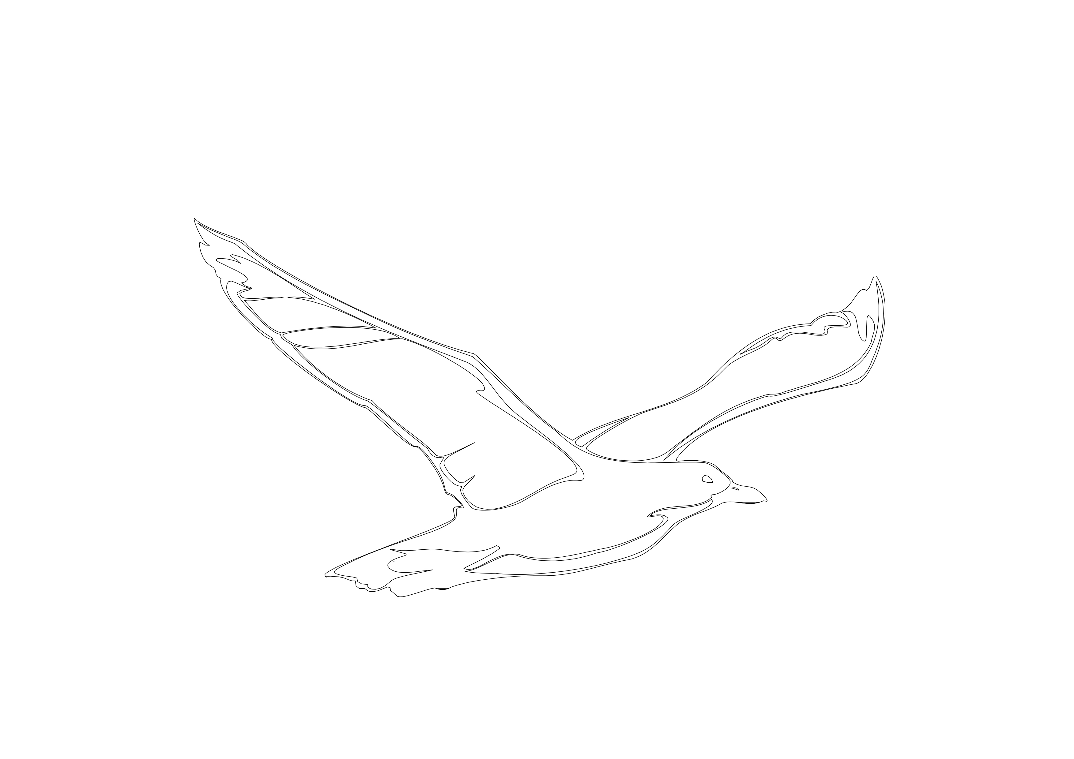 Free Bird CAD Block – DWG, DXF, PDF Format