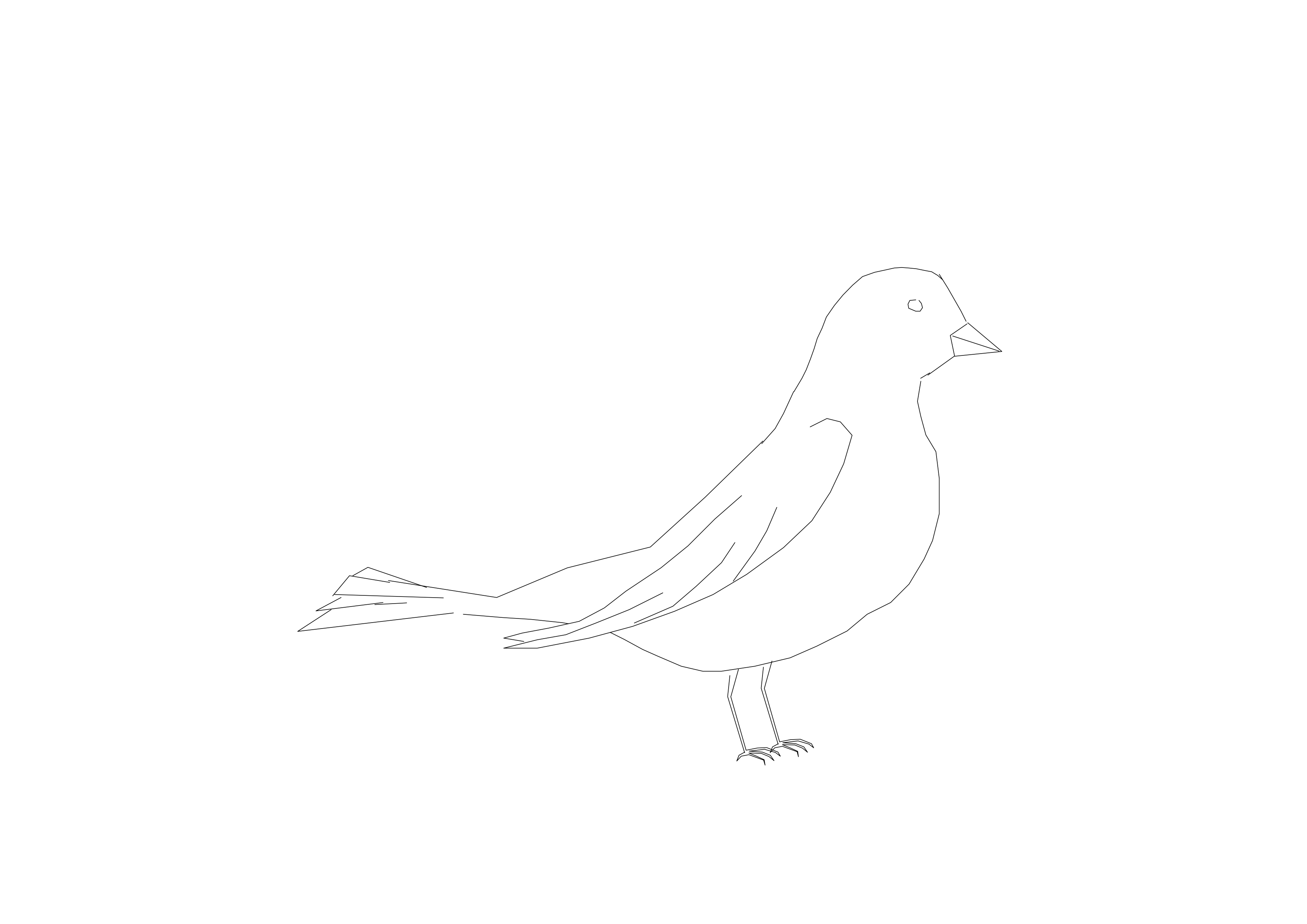 Free Bird CAD Block – DWG, DXF, PDF Format