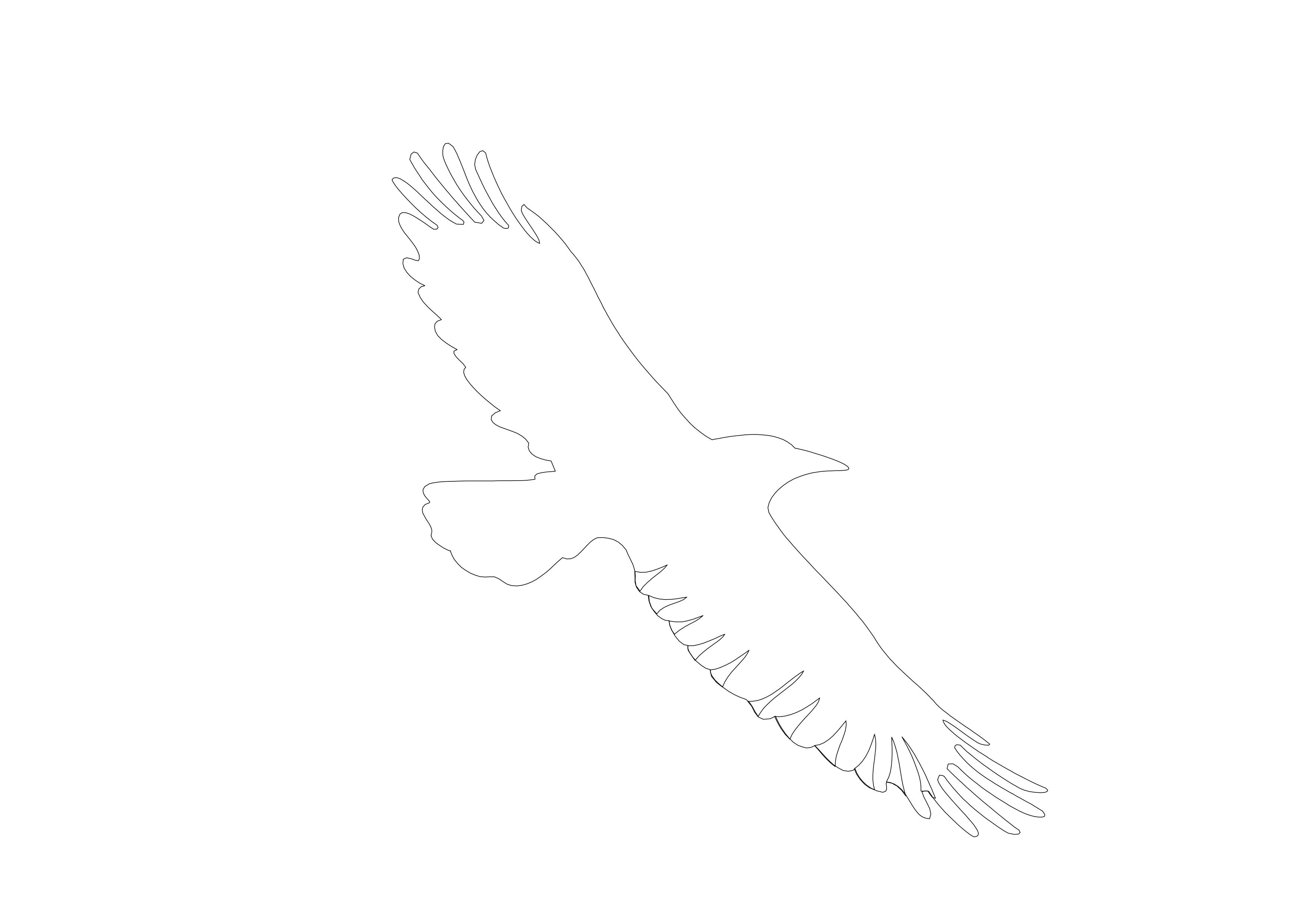 Free Bird CAD Block – DWG, DXF, PDF Format