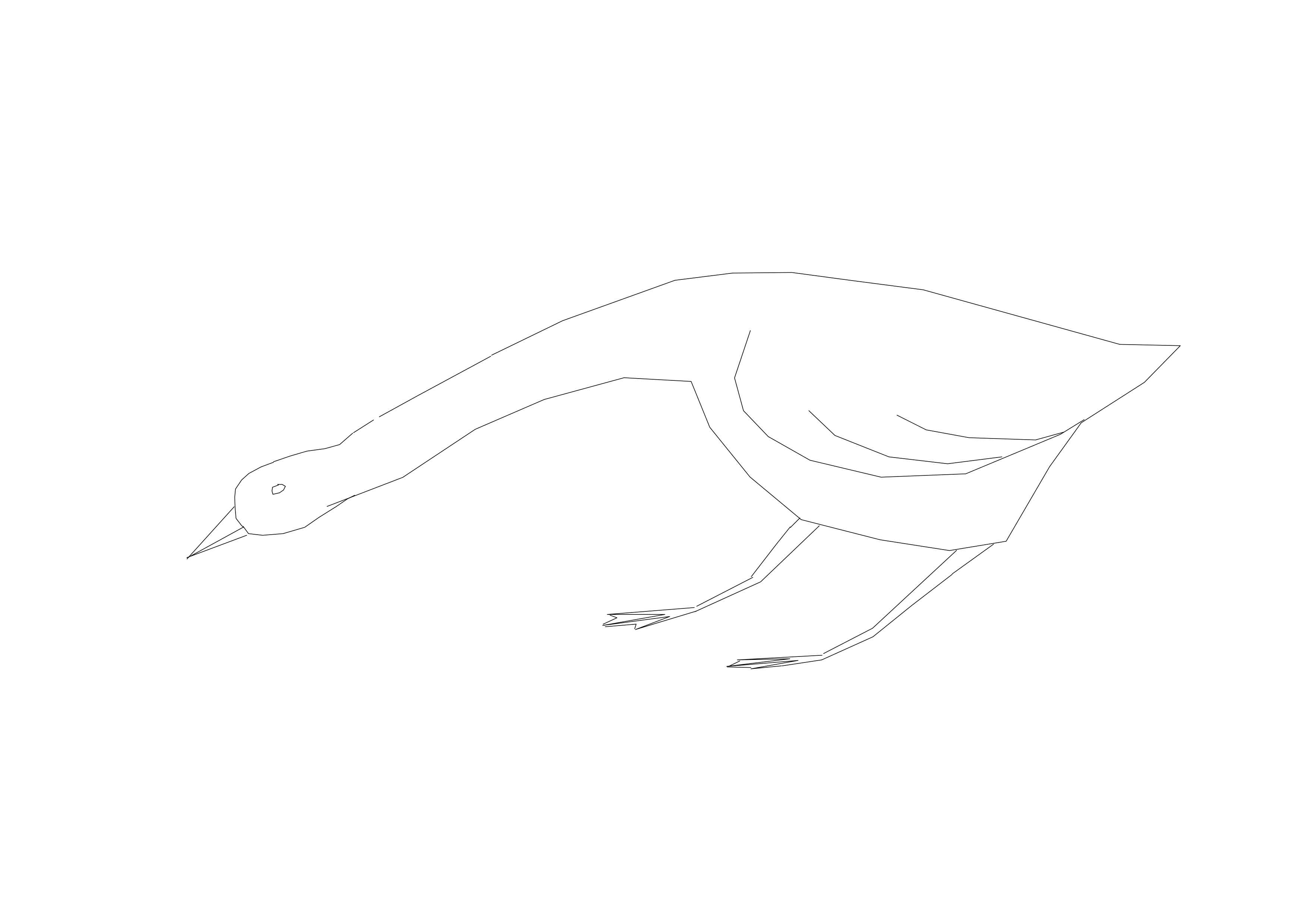 Free Bird CAD Block – DWG, DXF, PDF Format