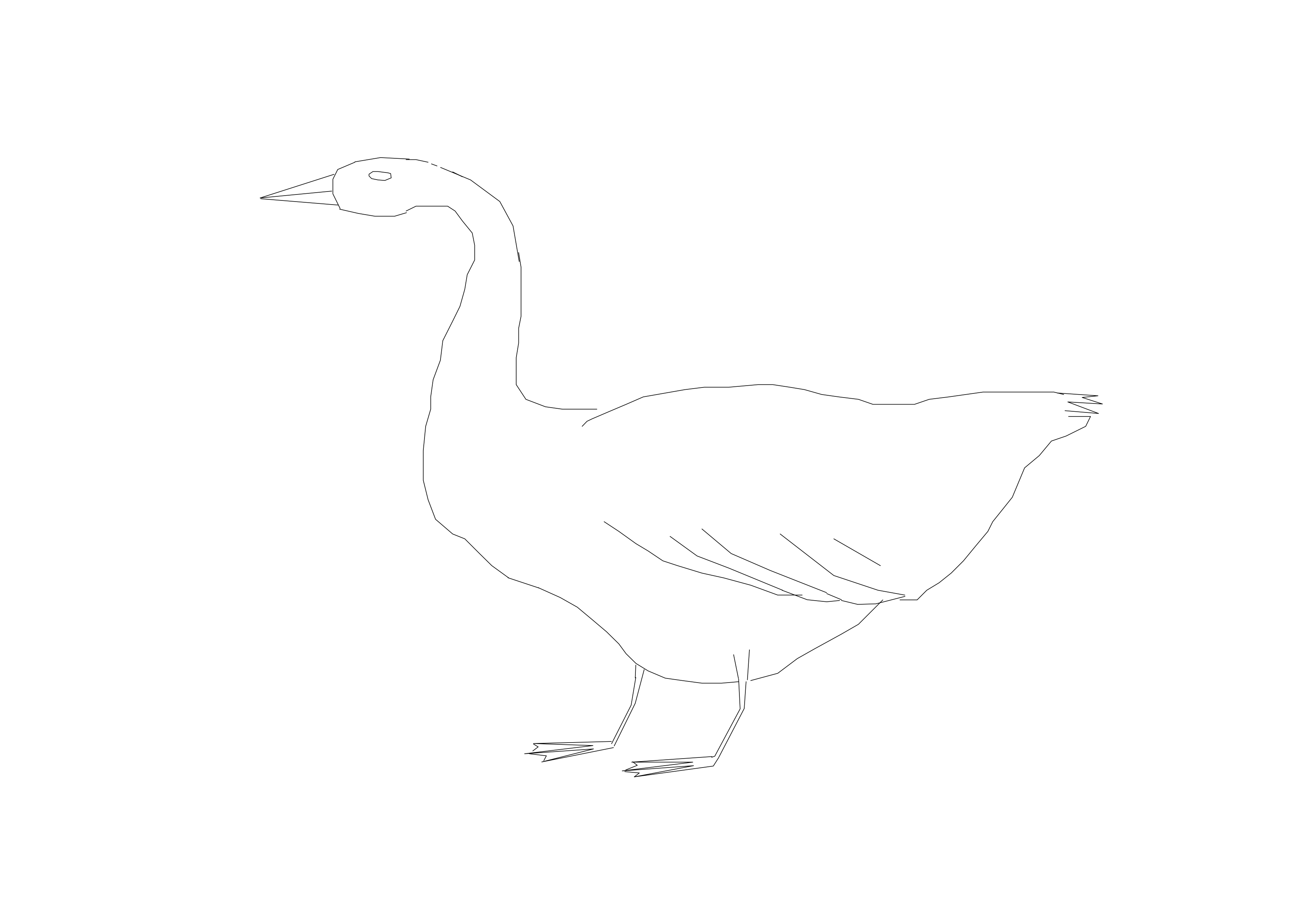 Free Bird CAD Block – DWG, DXF, PDF Format