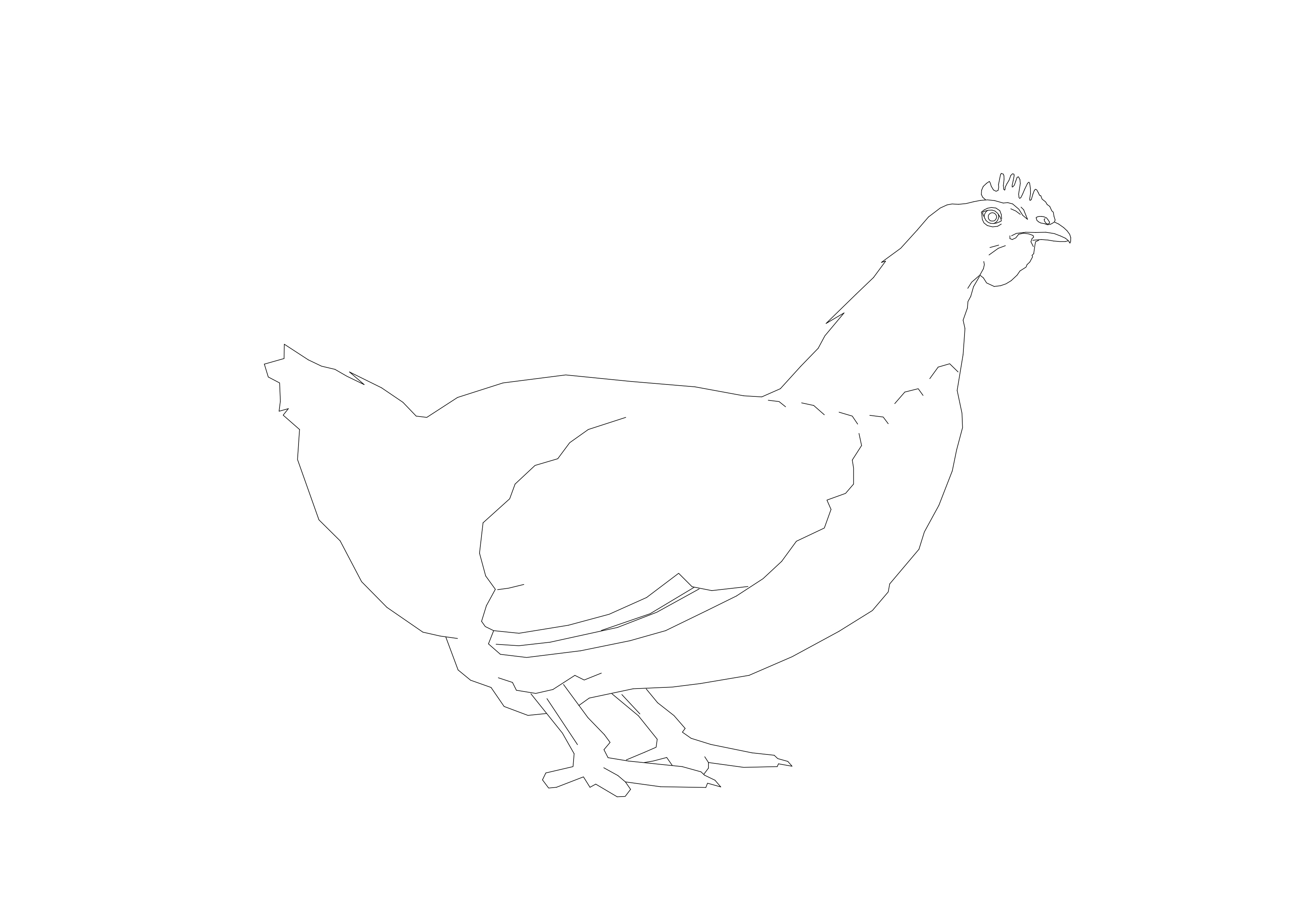 Free Bird CAD Block – DWG, DXF, PDF Format