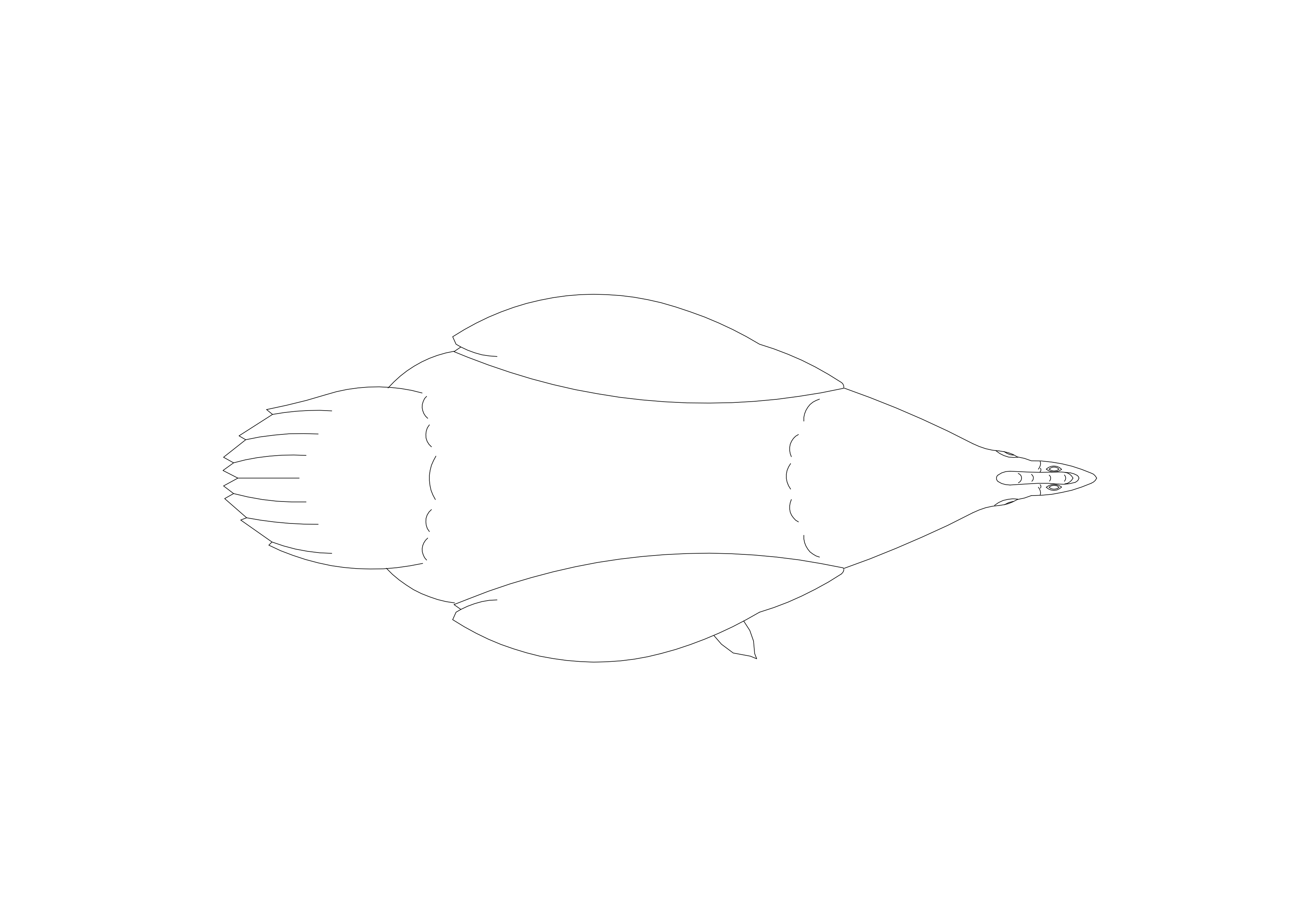 Free Bird CAD Block – DWG, DXF, PDF Format