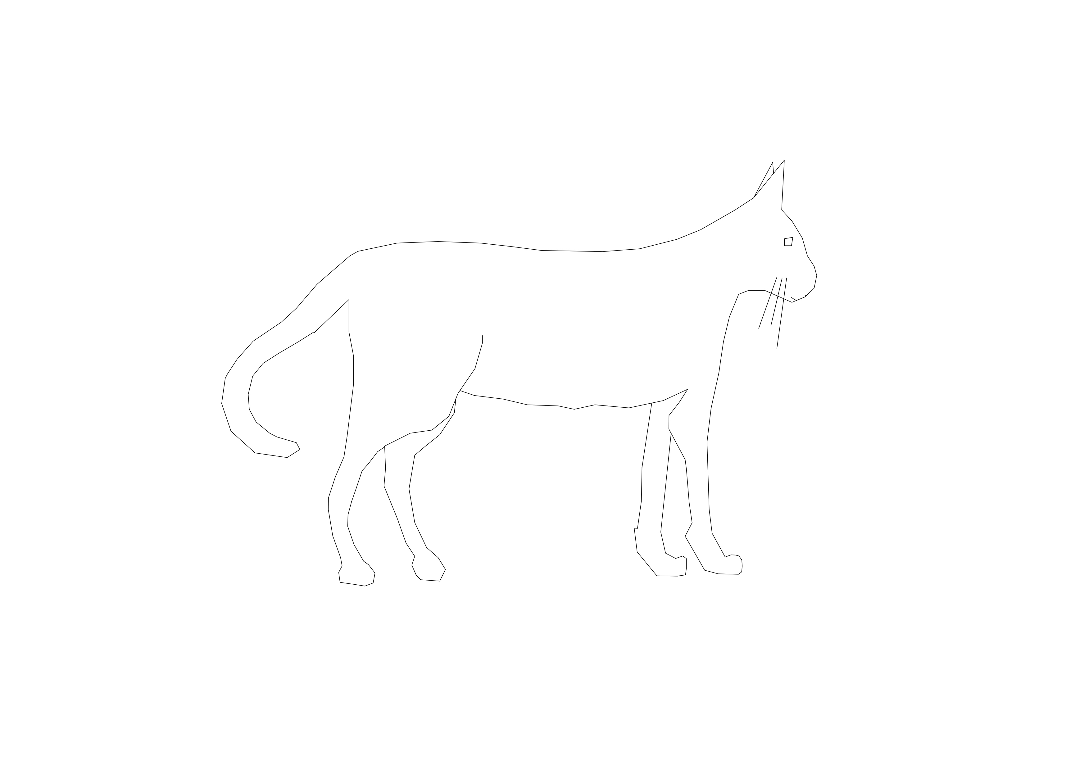 Free Cat CAD Block – DWG, DXF, PDF Format