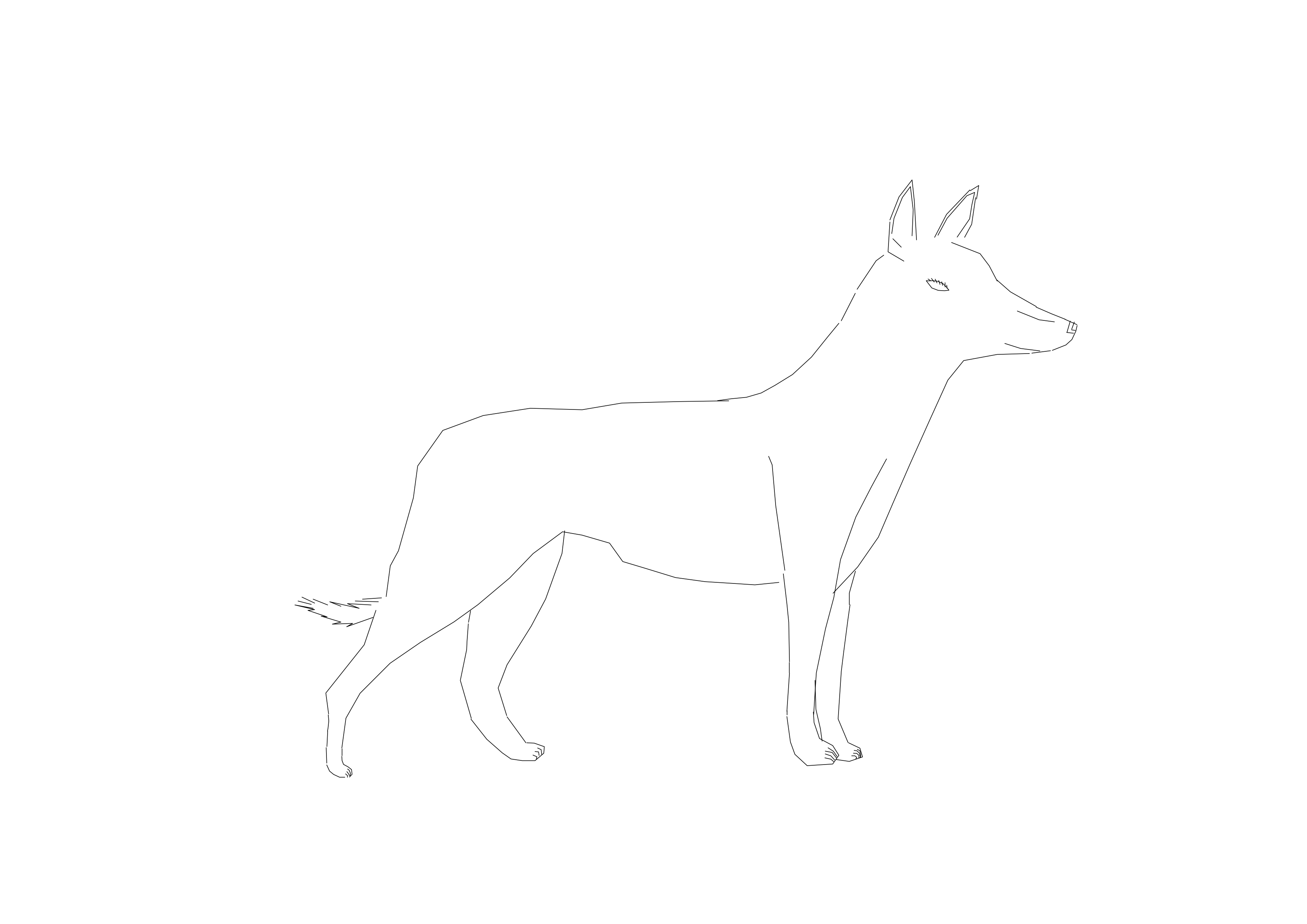 Free Dog CAD Block – DWG, DXF, PDF Format