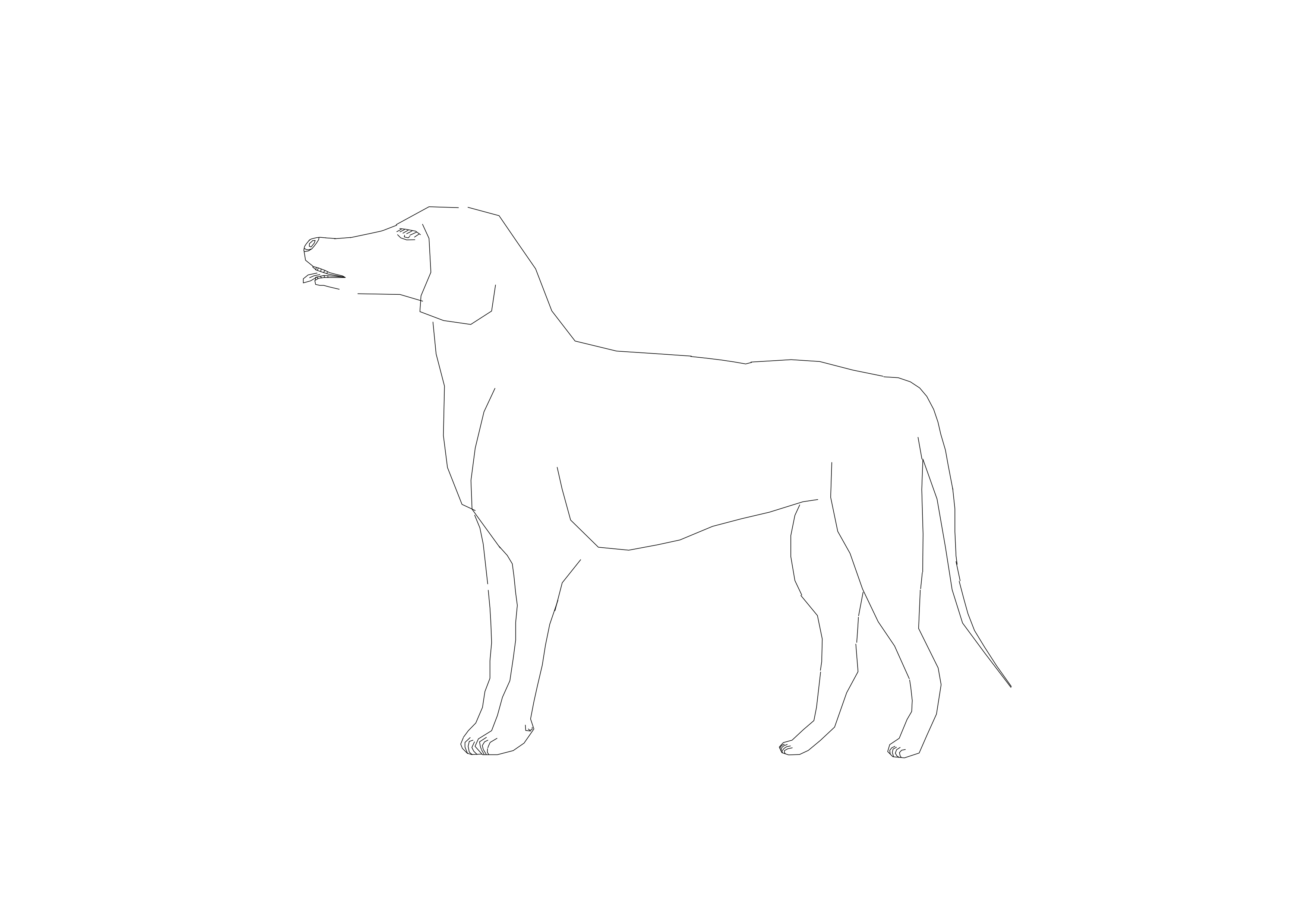 Free Dog CAD Block – DWG, DXF, PDF Format